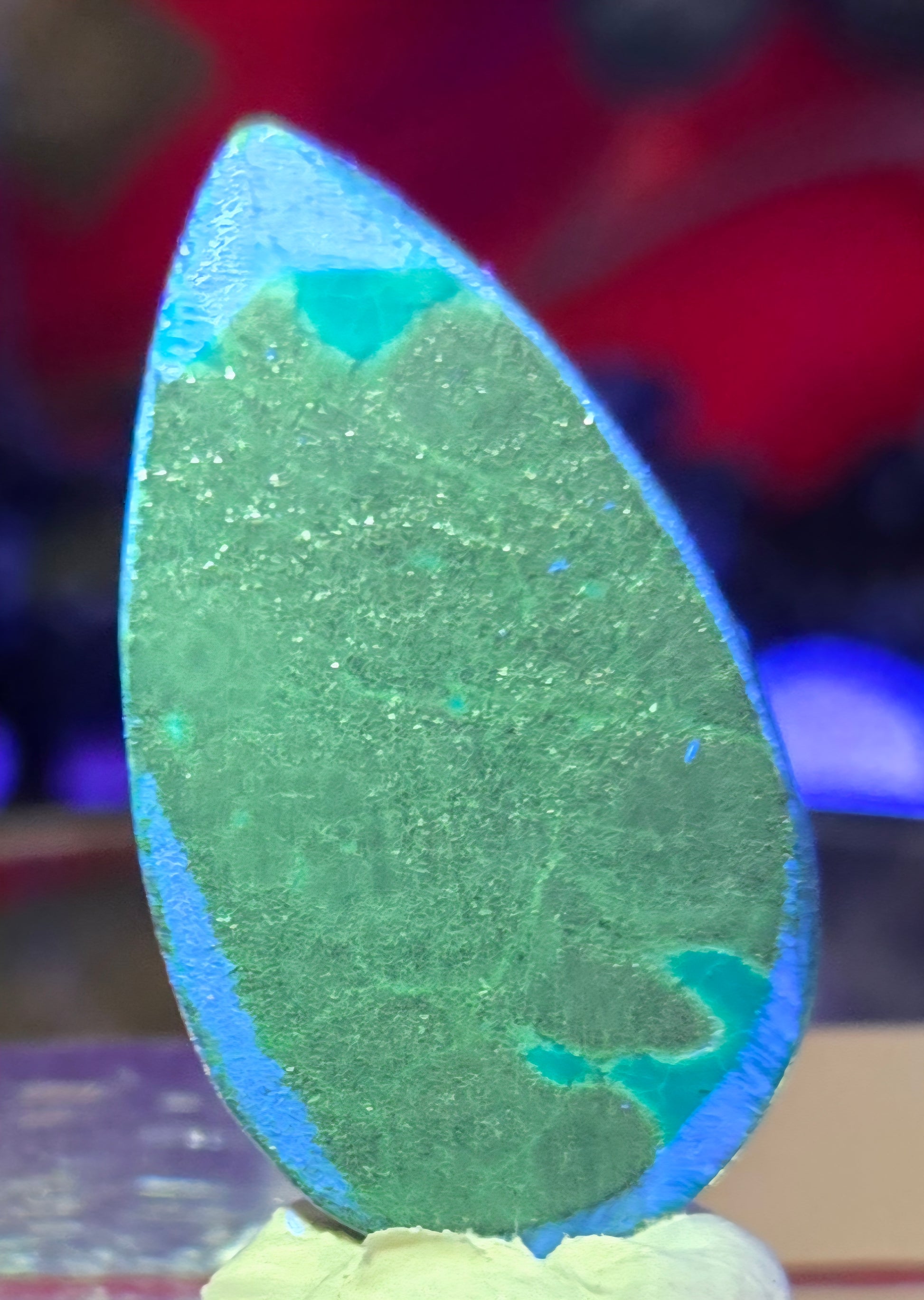 MALACHITE CHRYSACOLLA CABOCHONO