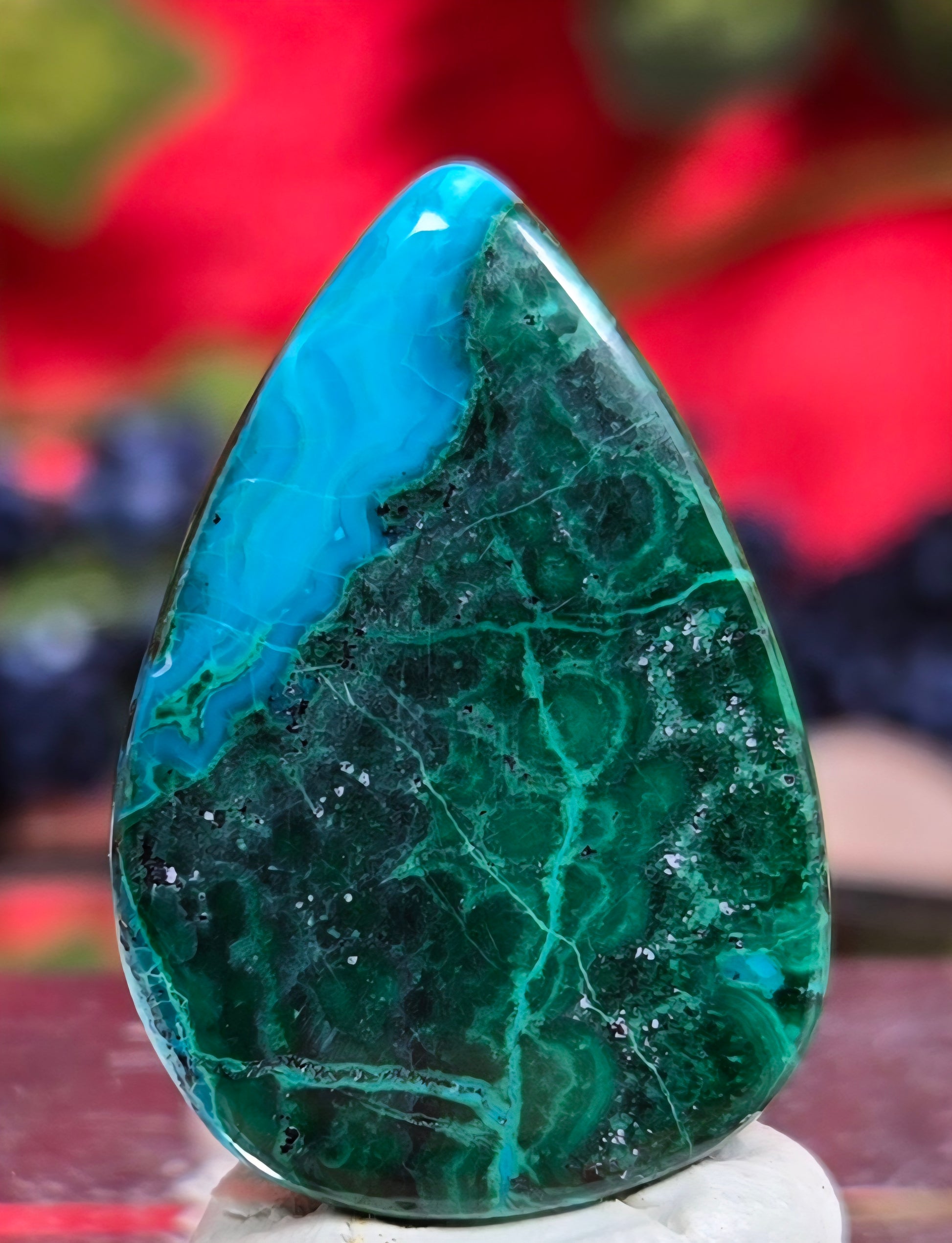 MALACHITE CHRYSACOLLA CABOCHON