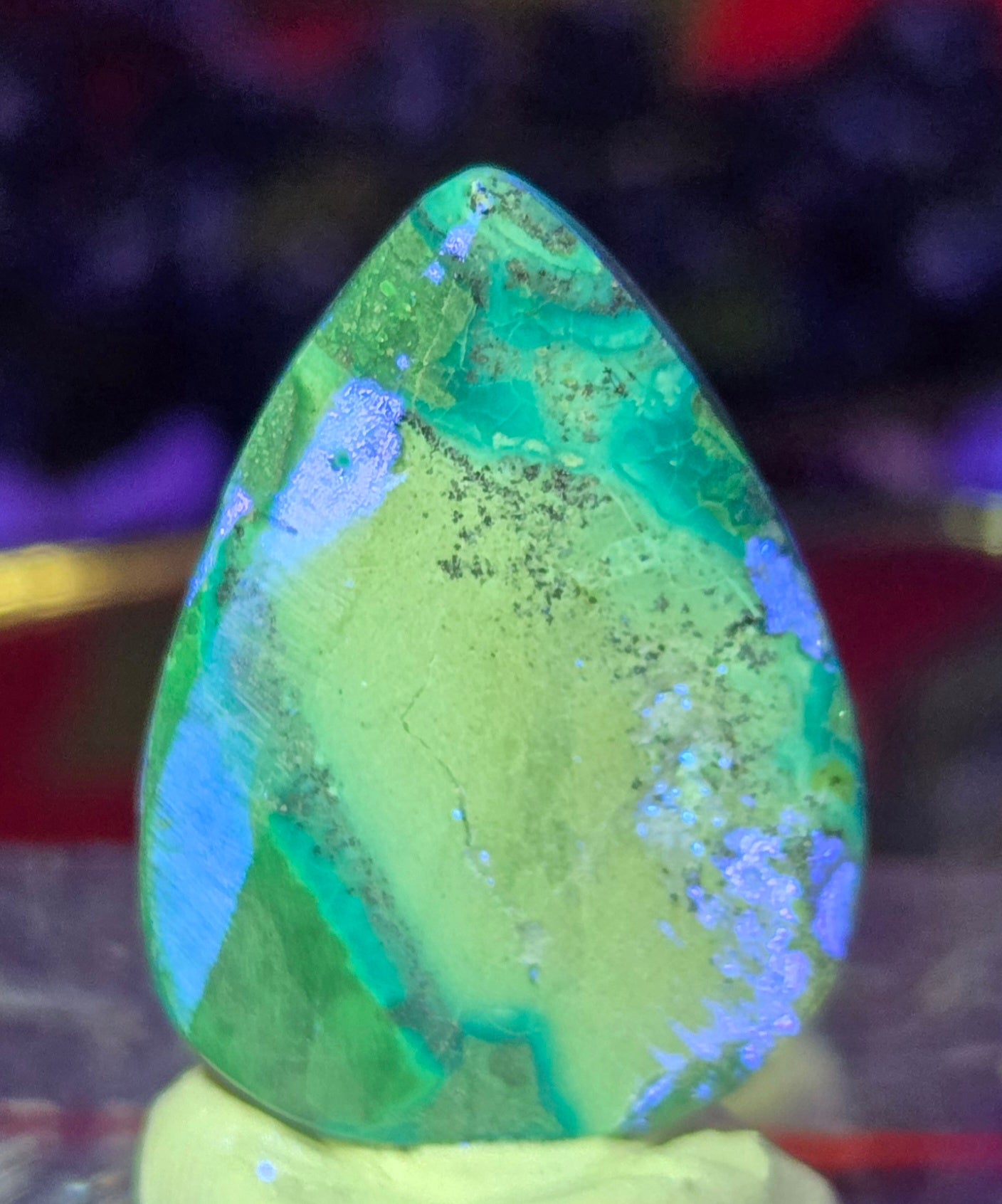 MALACHITE CHRYSACOLLA CABOCHON