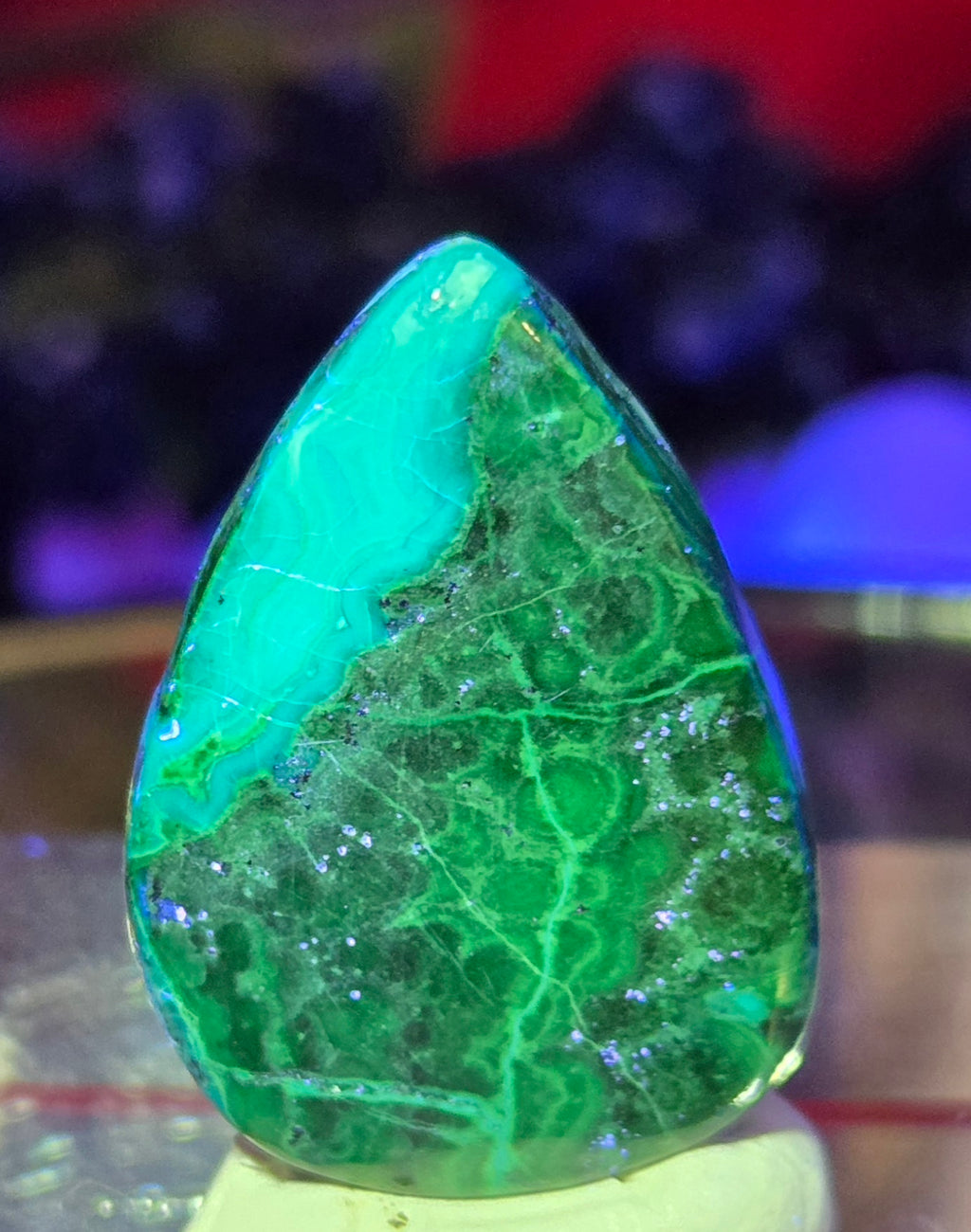 MALACHITE CHRYSACOLLA CABOCHON