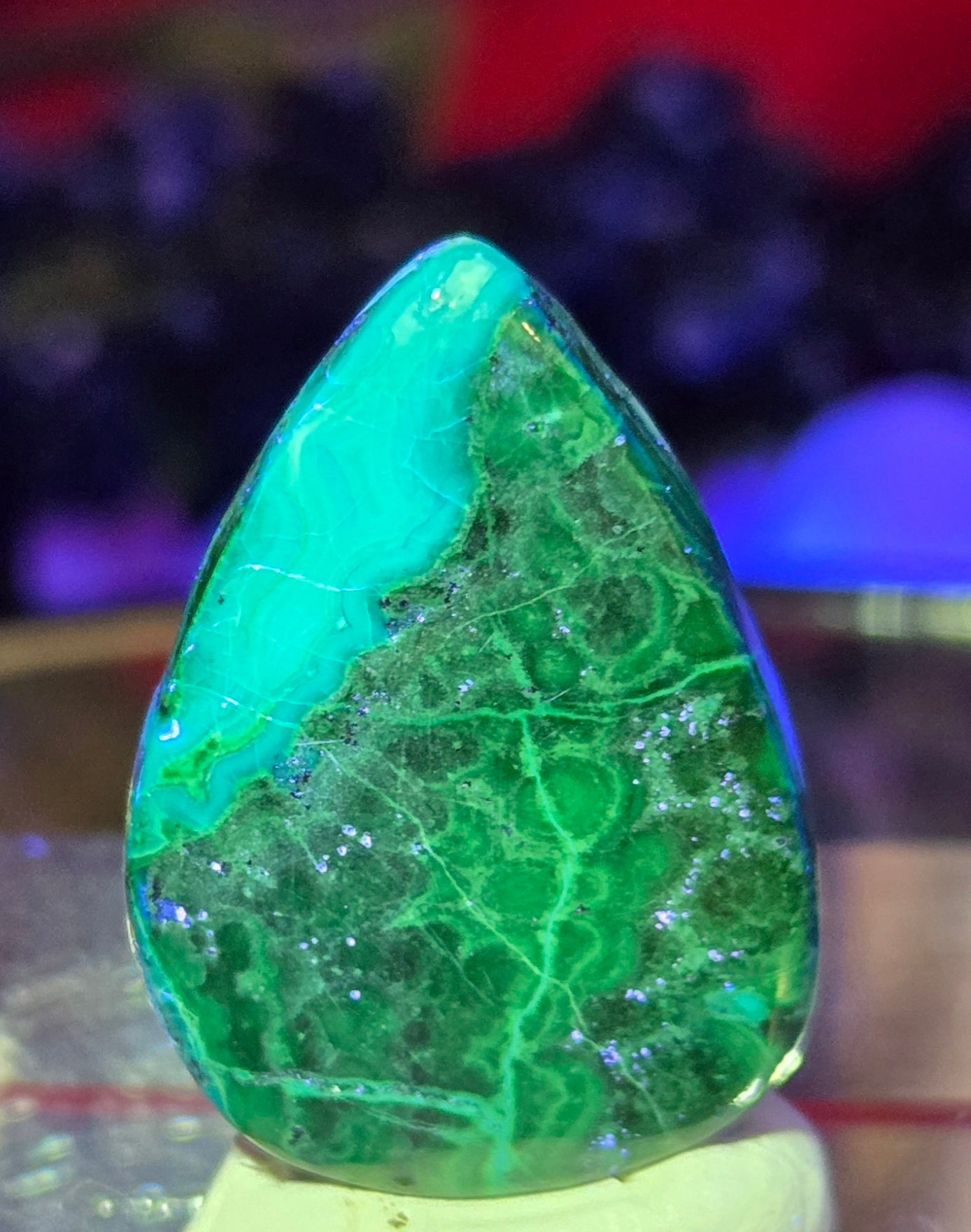 MALACHITE CHRYSACOLLA CABOCHON