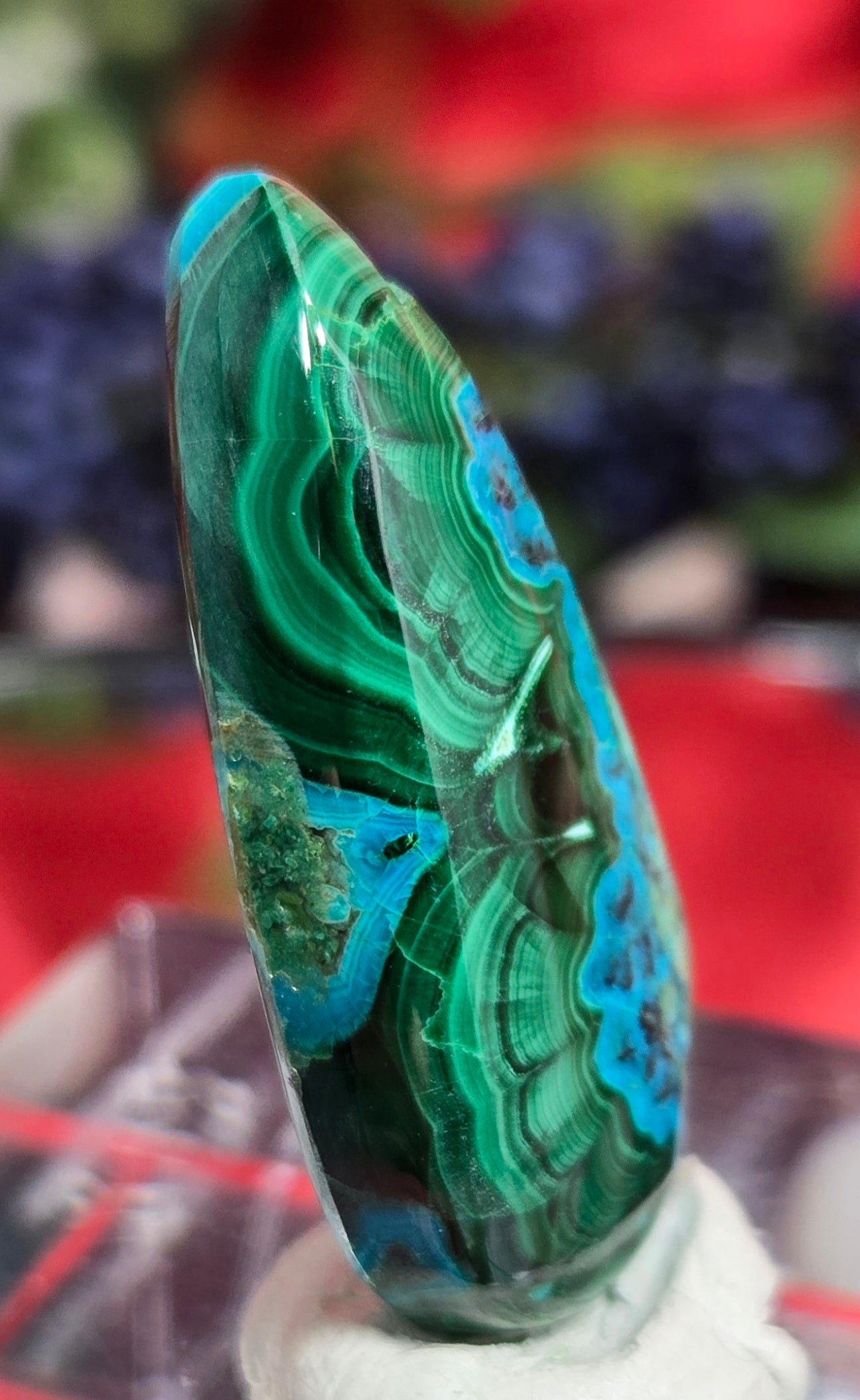 MALACHITE CHRYSACOLLA CABOCHON