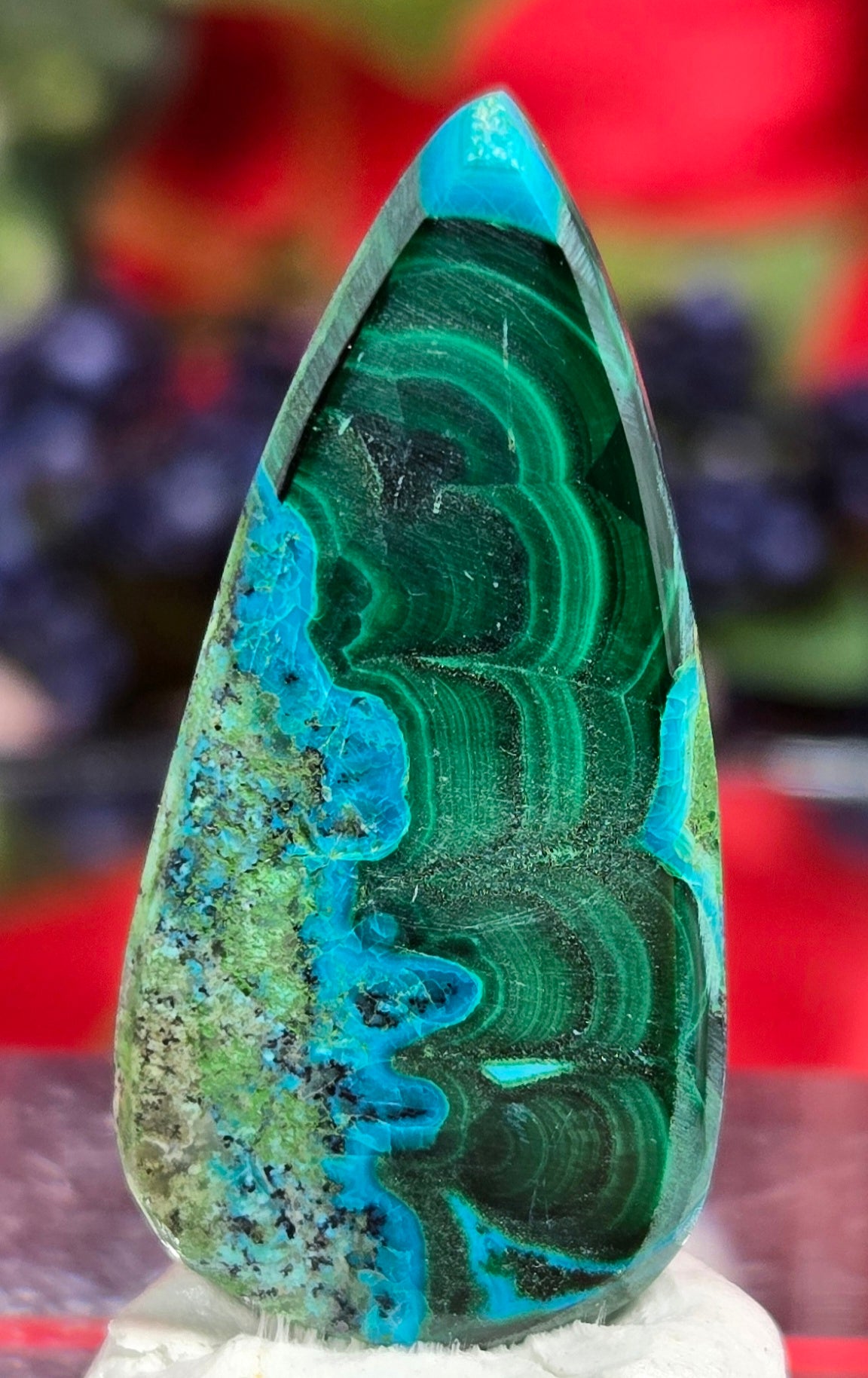 MALACHITE CHRYSACOLLA CABOCHON