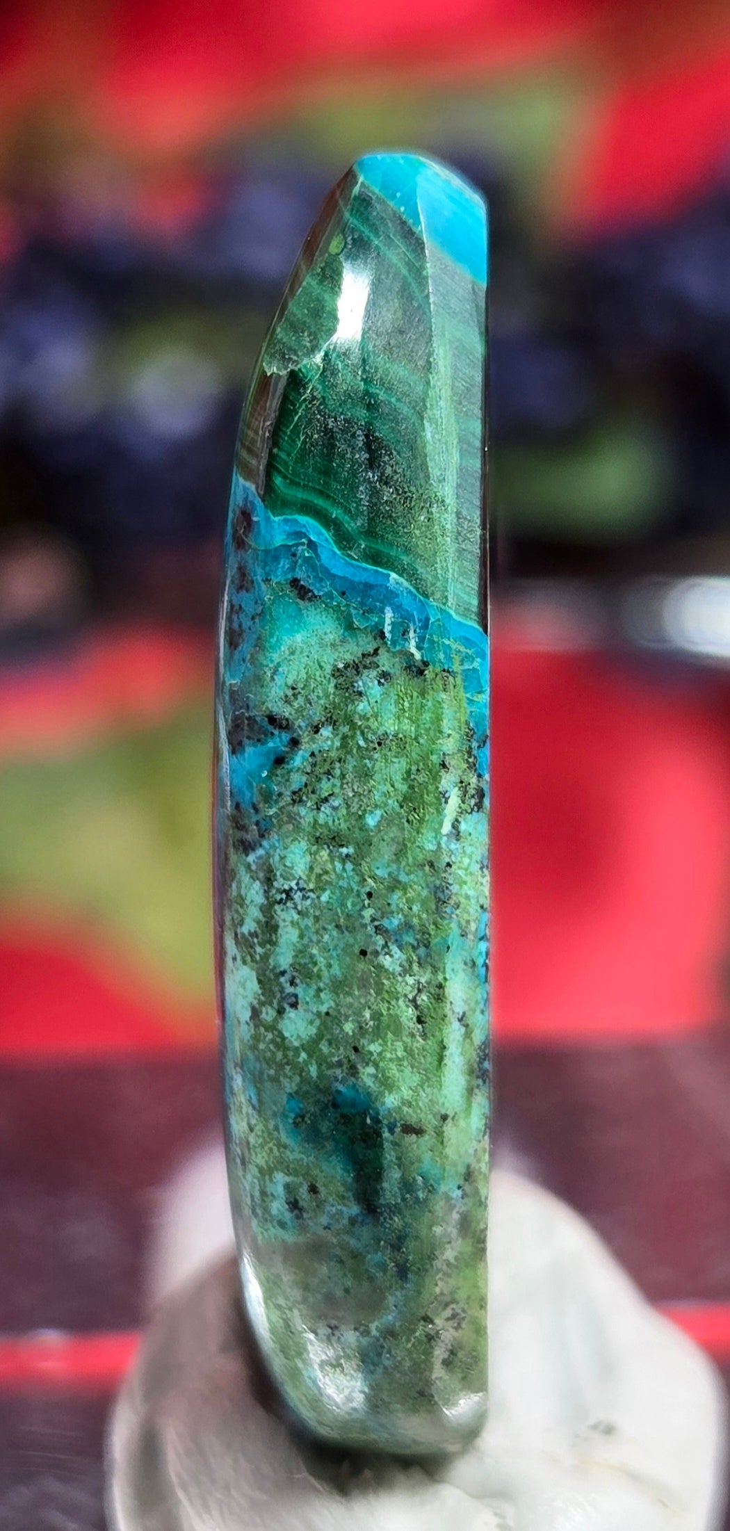 MALACHITE CHRYSACOLLA CABOCHON