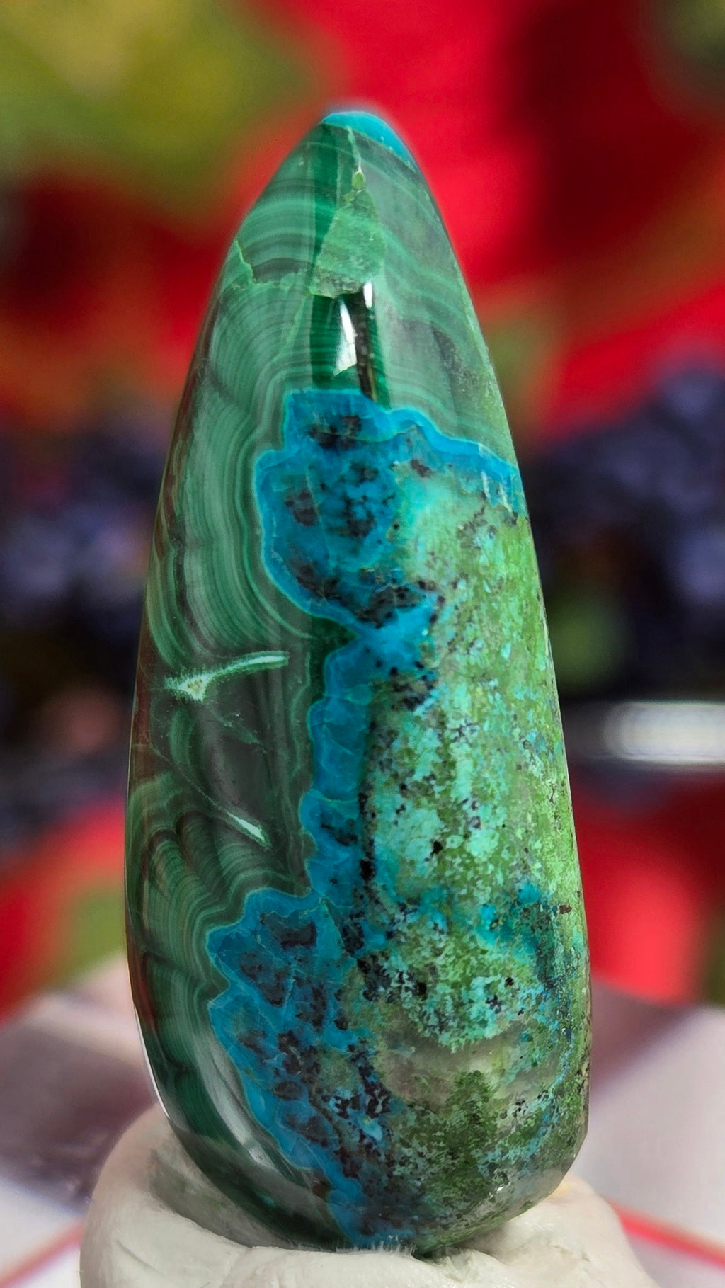 MALACHITE CHRYSACOLLA CABOCHON