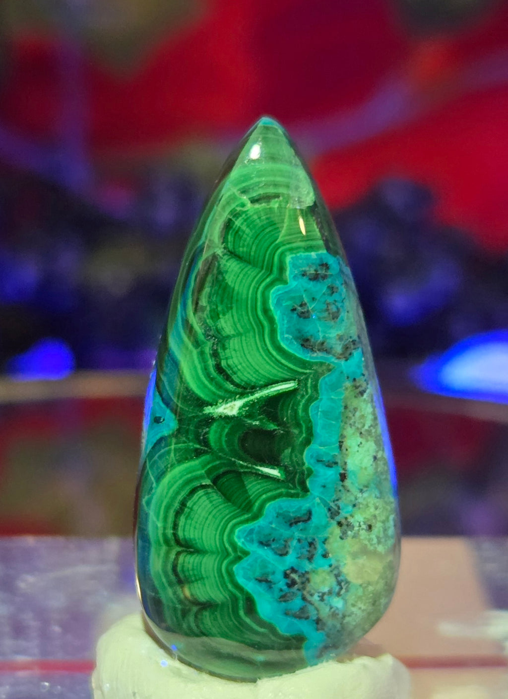 MALACHITE CHRYSACOLLA CABOCHON