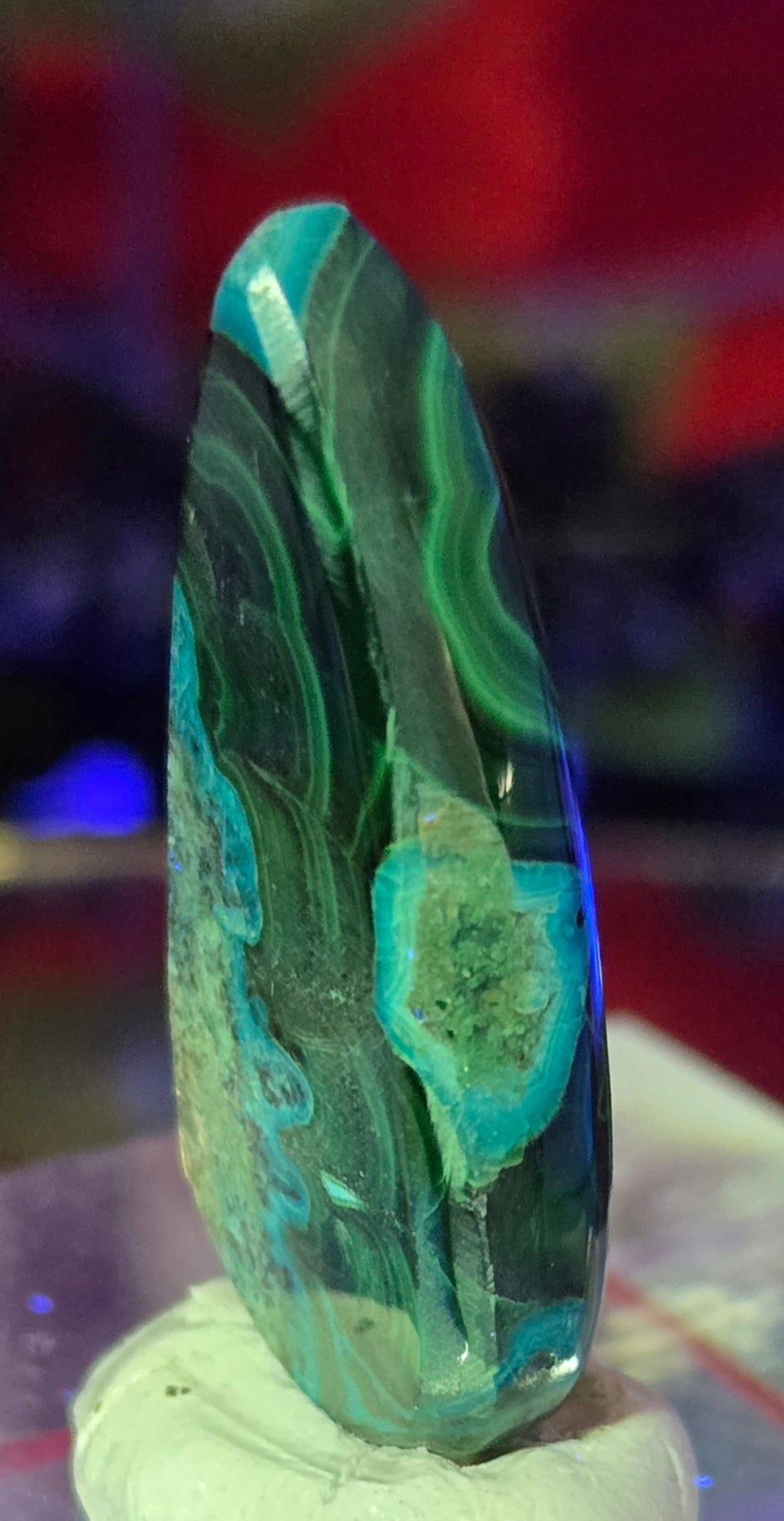 MALACHITE CHRYSACOLLA CABOCHON