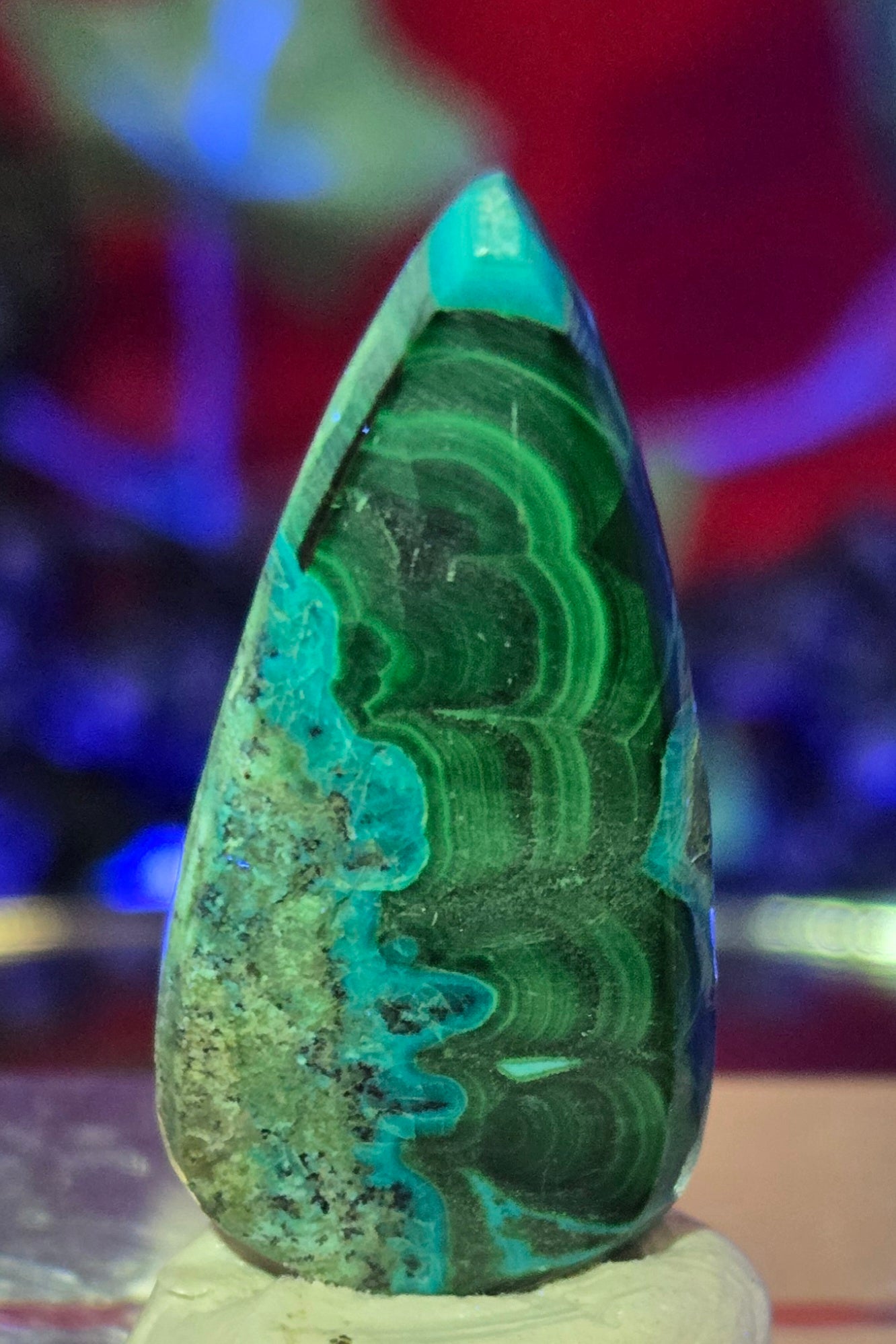 MALACHITE CHRYSACOLLA CABOCHON