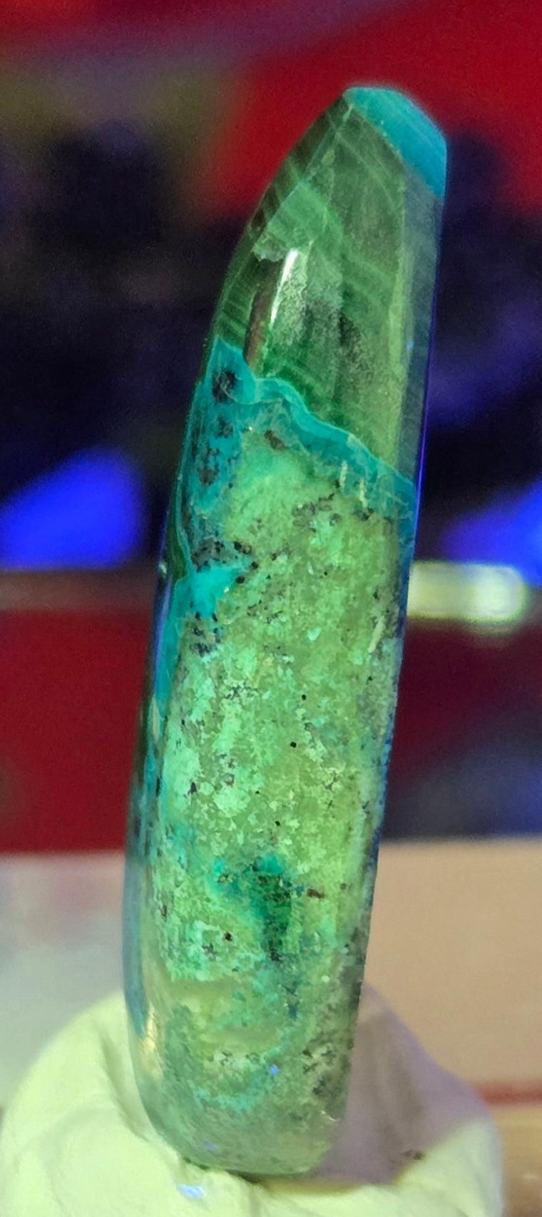 MALACHITE CHRYSACOLLA CABOCHON