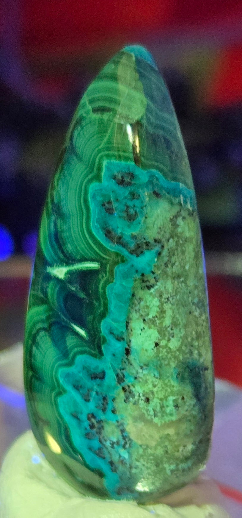 MALACHITE CHRYSACOLLA CABOCHON