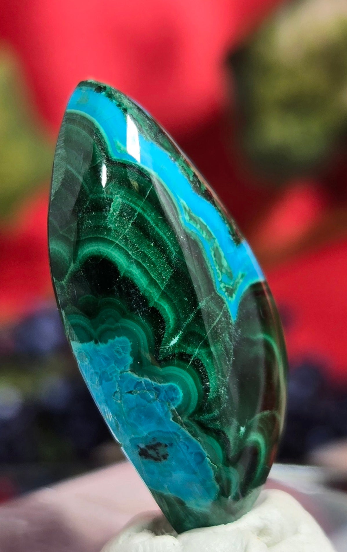 MALACHITE CHRYSACOLLA CABOCHON
