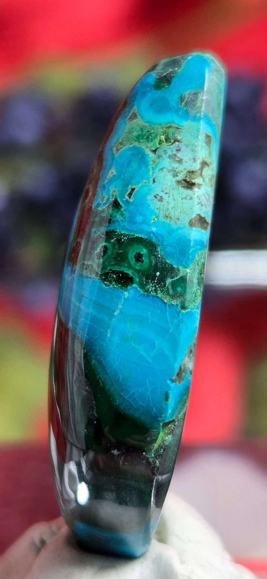 MALACHITE CHRYSACOLLA CABOCHON