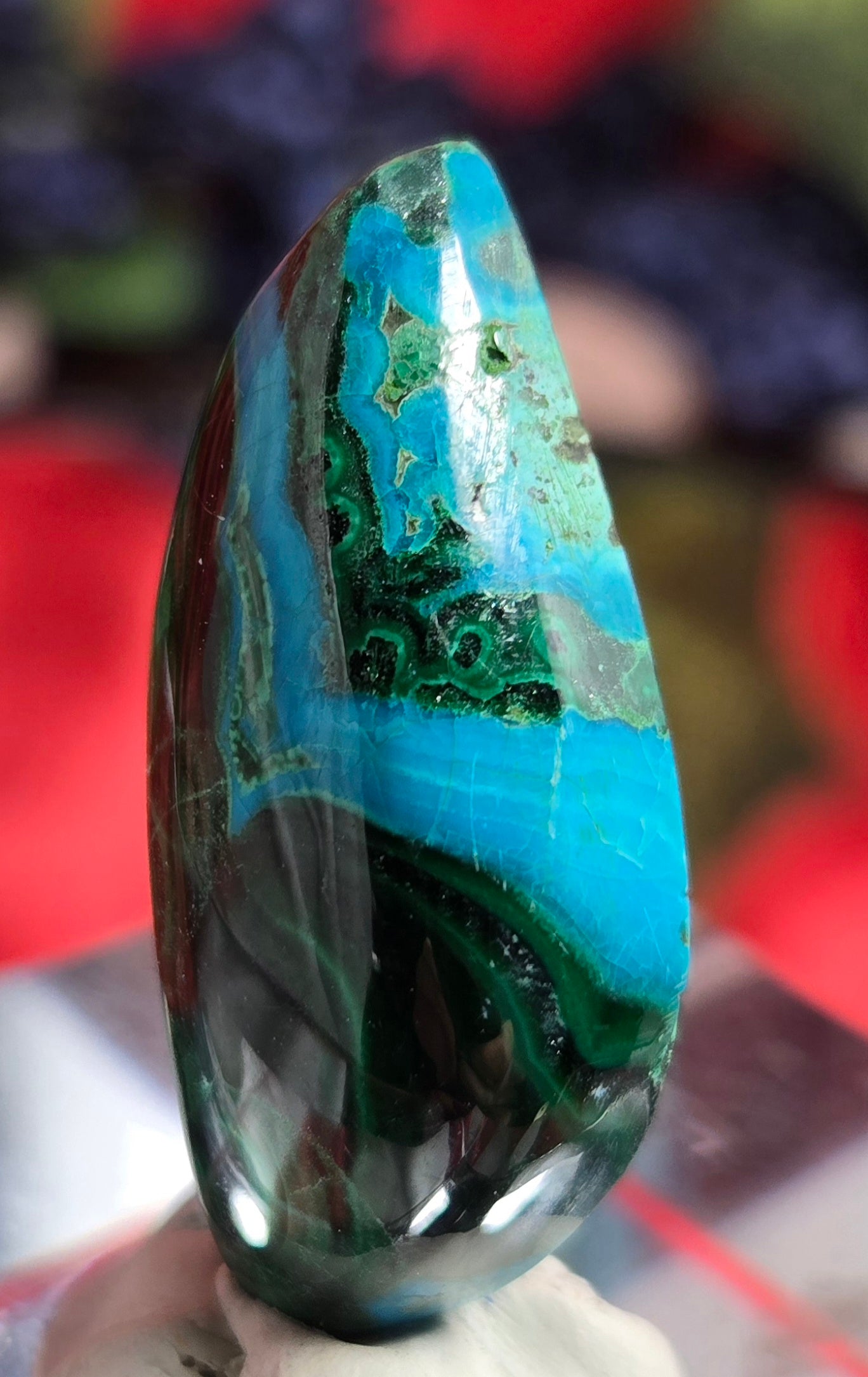 MALACHITE CHRYSACOLLA CABOCHON
