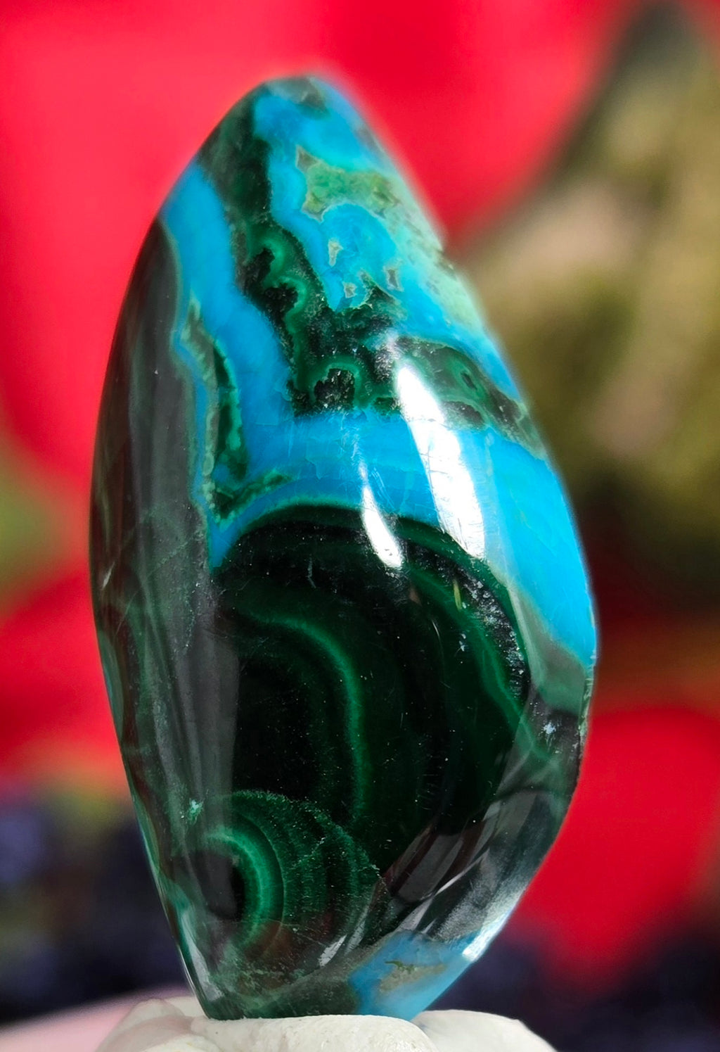 MALACHITE CHRYSACOLLA CABOCHON