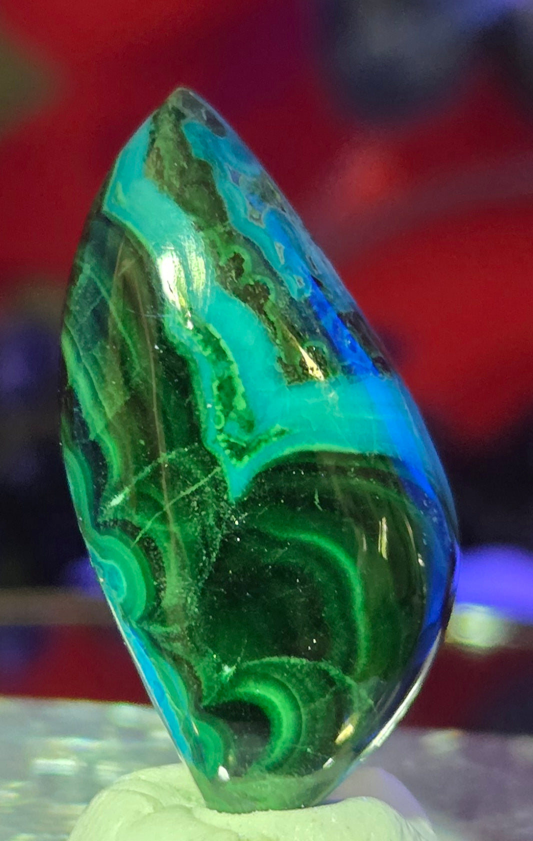MALACHITE CHRYSACOLLA CABOCHON