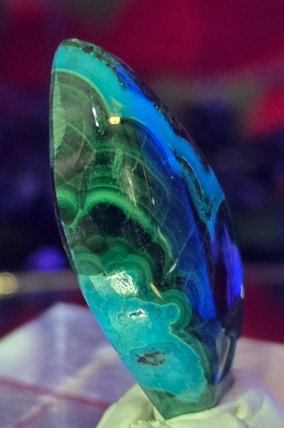 MALACHITE CHRYSACOLLA CABOCHON