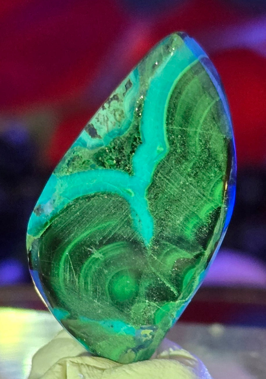 MALACHITE CHRYSACOLLA CABOCHON