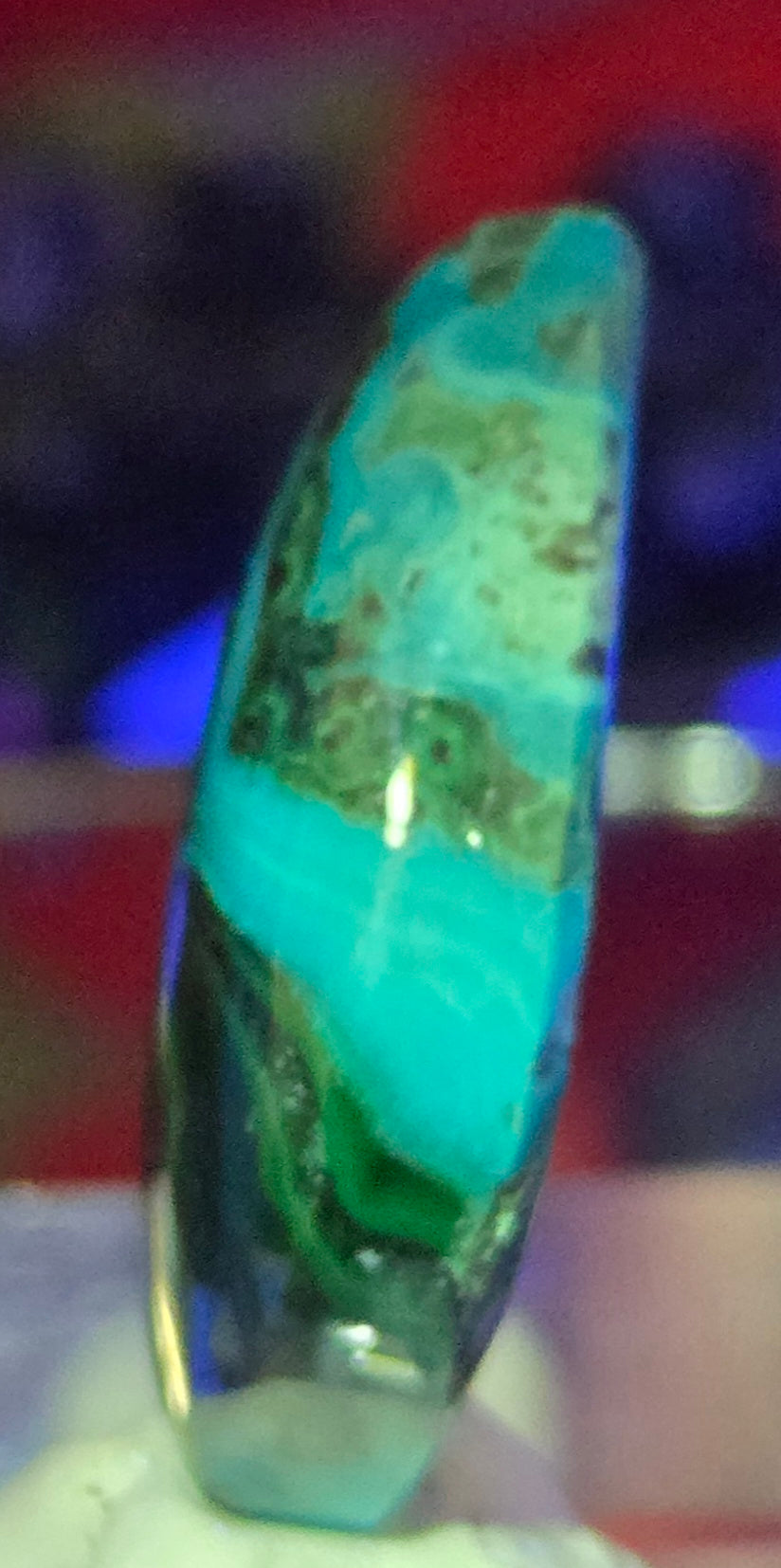 MALACHITE CHRYSACOLLA CABOCHON