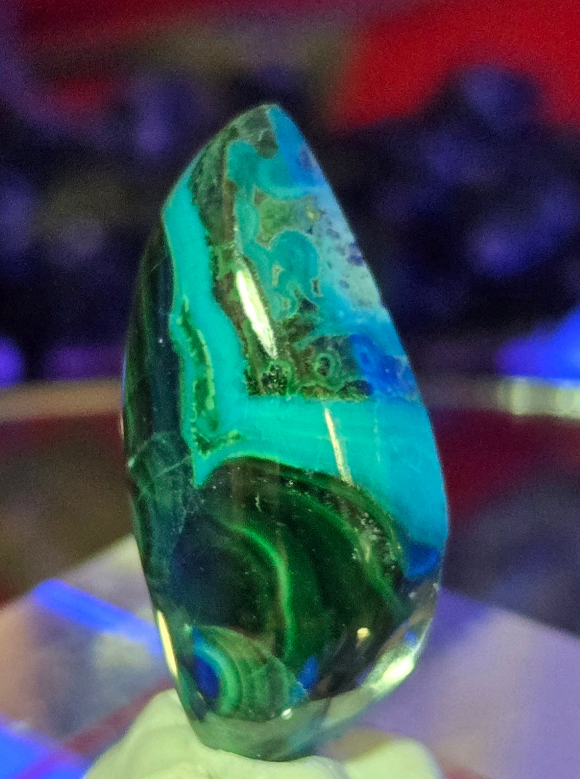 MALACHITE CHRYSACOLLA CABOCHON