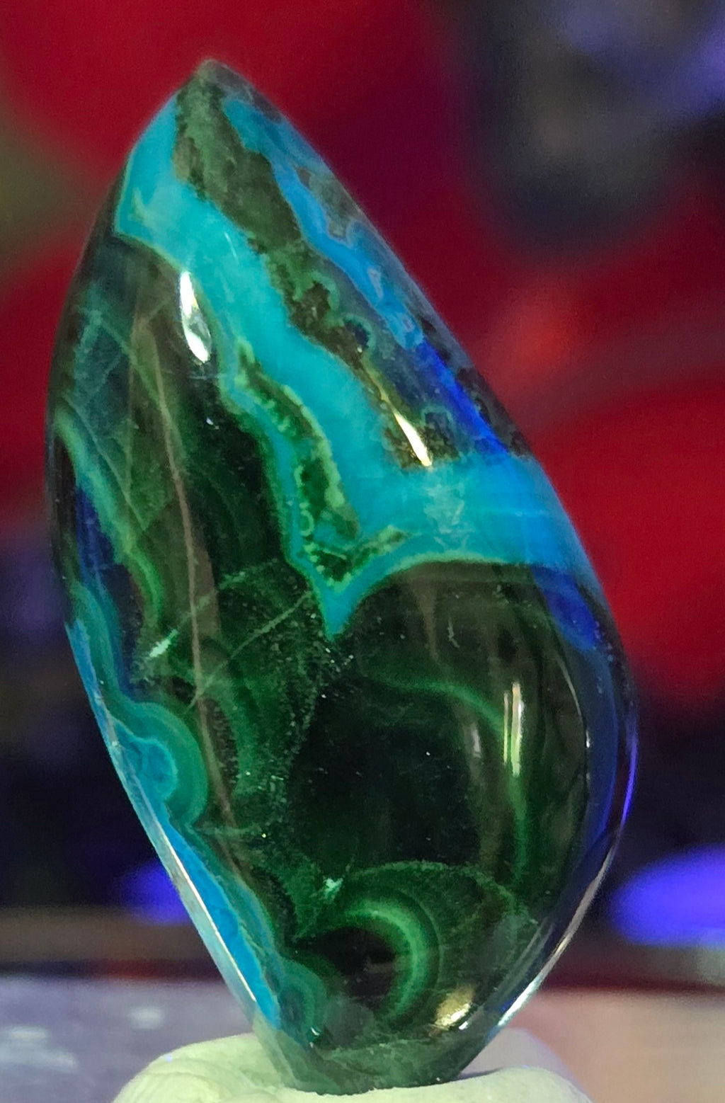 MALACHITE CHRYSACOLLA CABOCHON