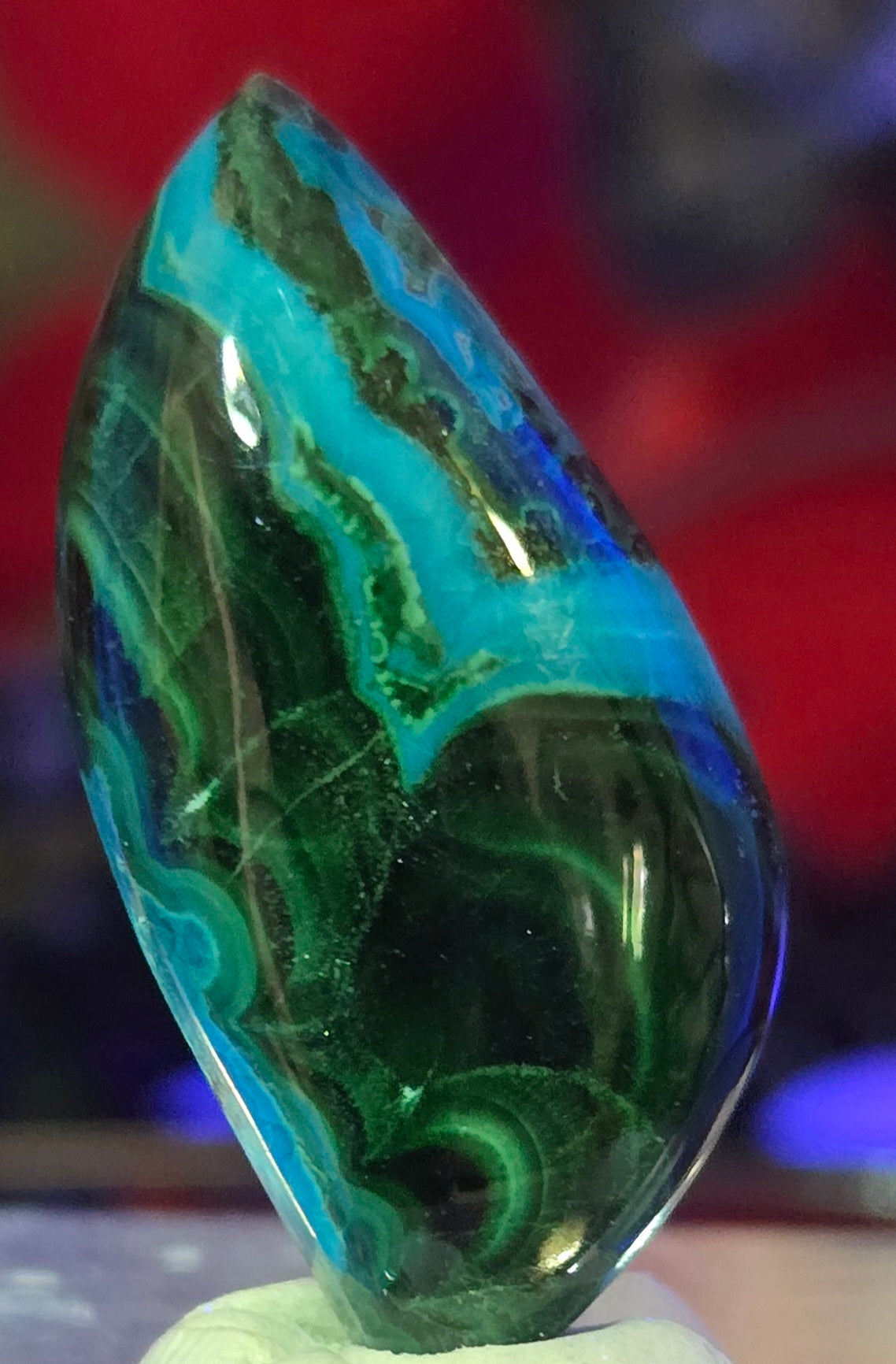 MALACHITE CHRYSACOLLA CABOCHON