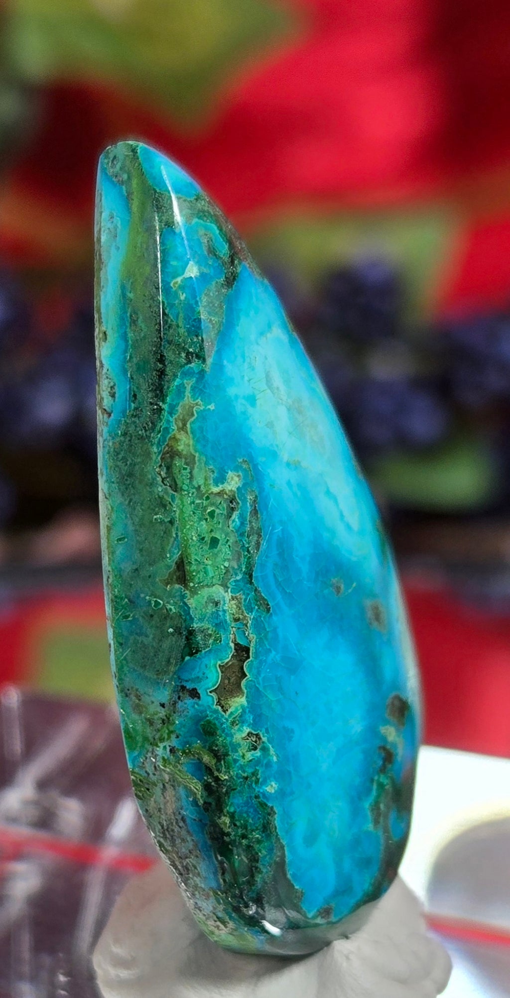 MALACHITE CHRYSACOLLA CABOCHON
