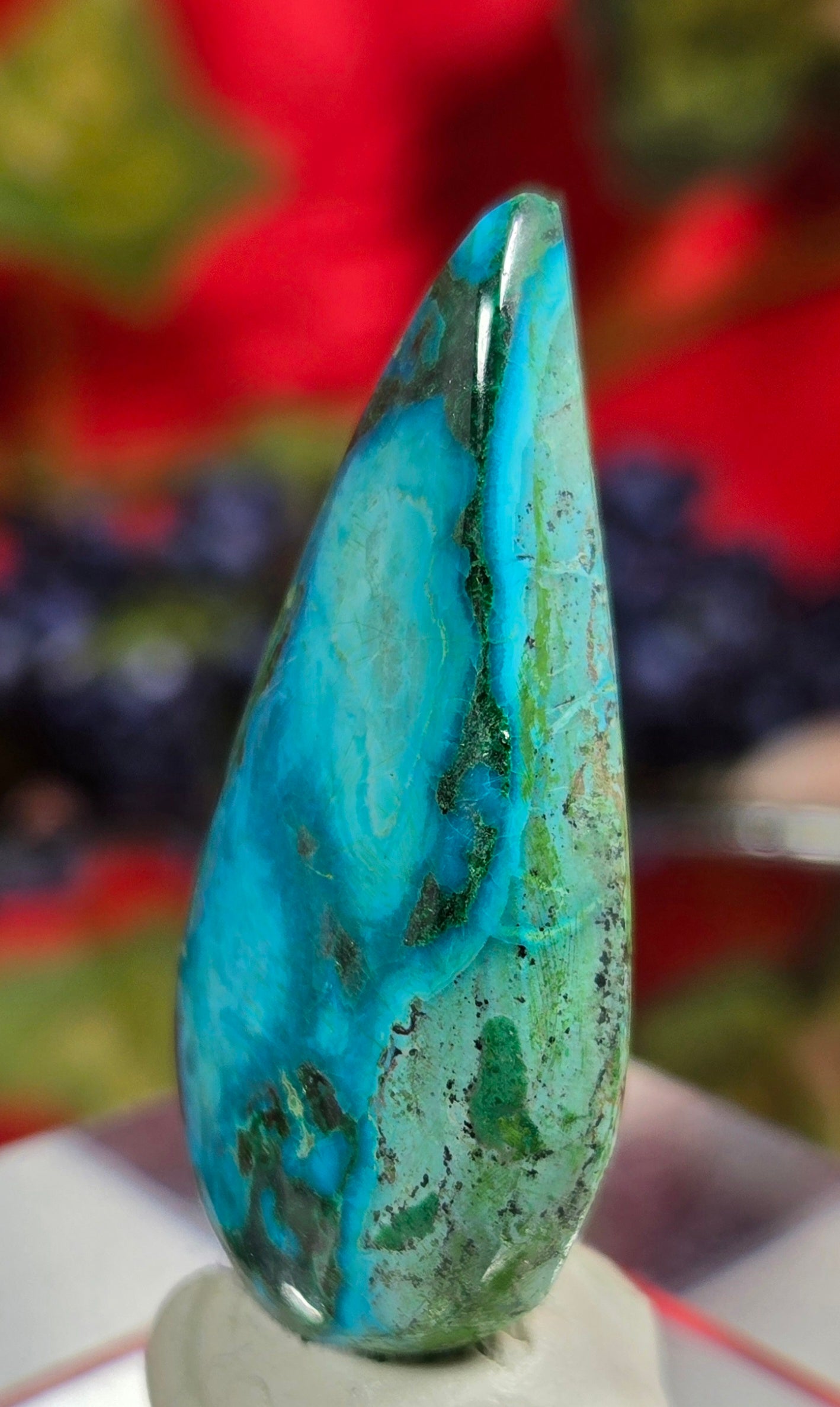 MALACHITE CHRYSACOLLA CABOCHON