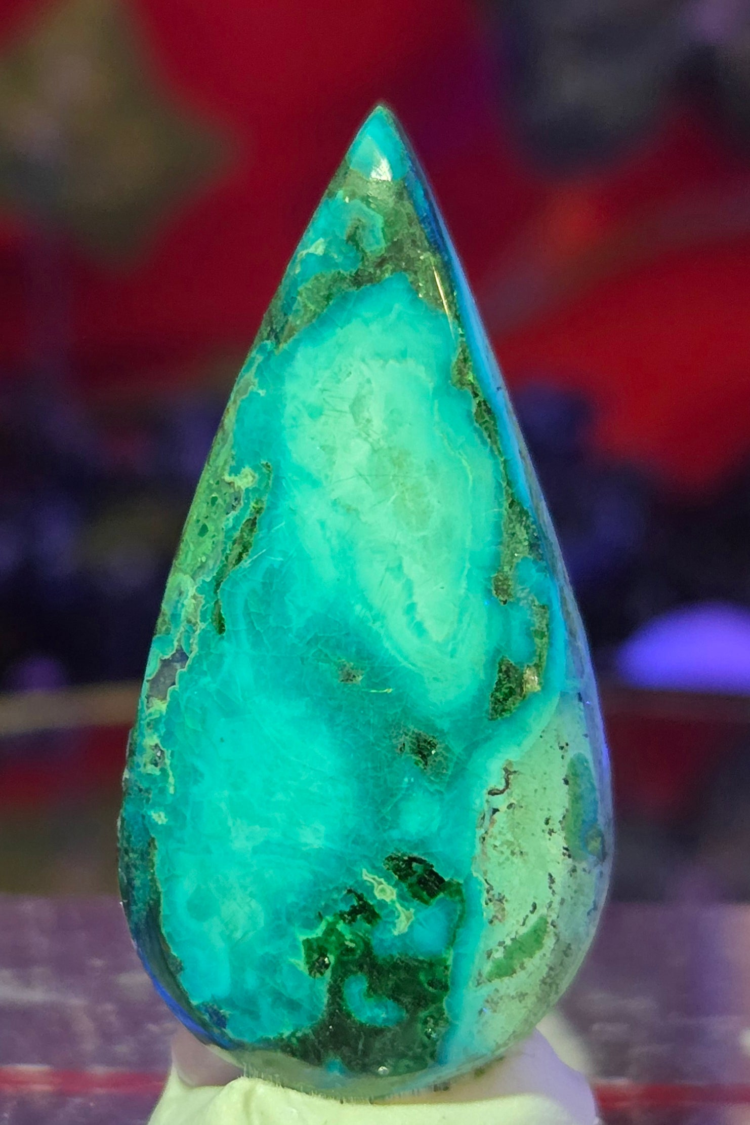 MALACHITE CHRYSACOLLA CABOCHON