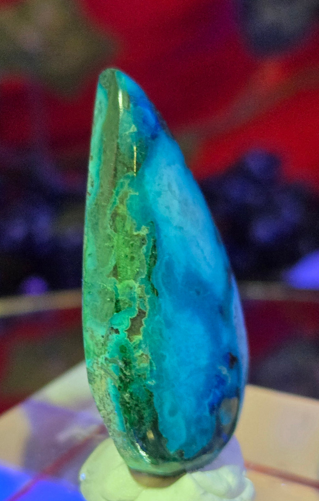 MALACHITE CHRYSACOLLA CABOCHON