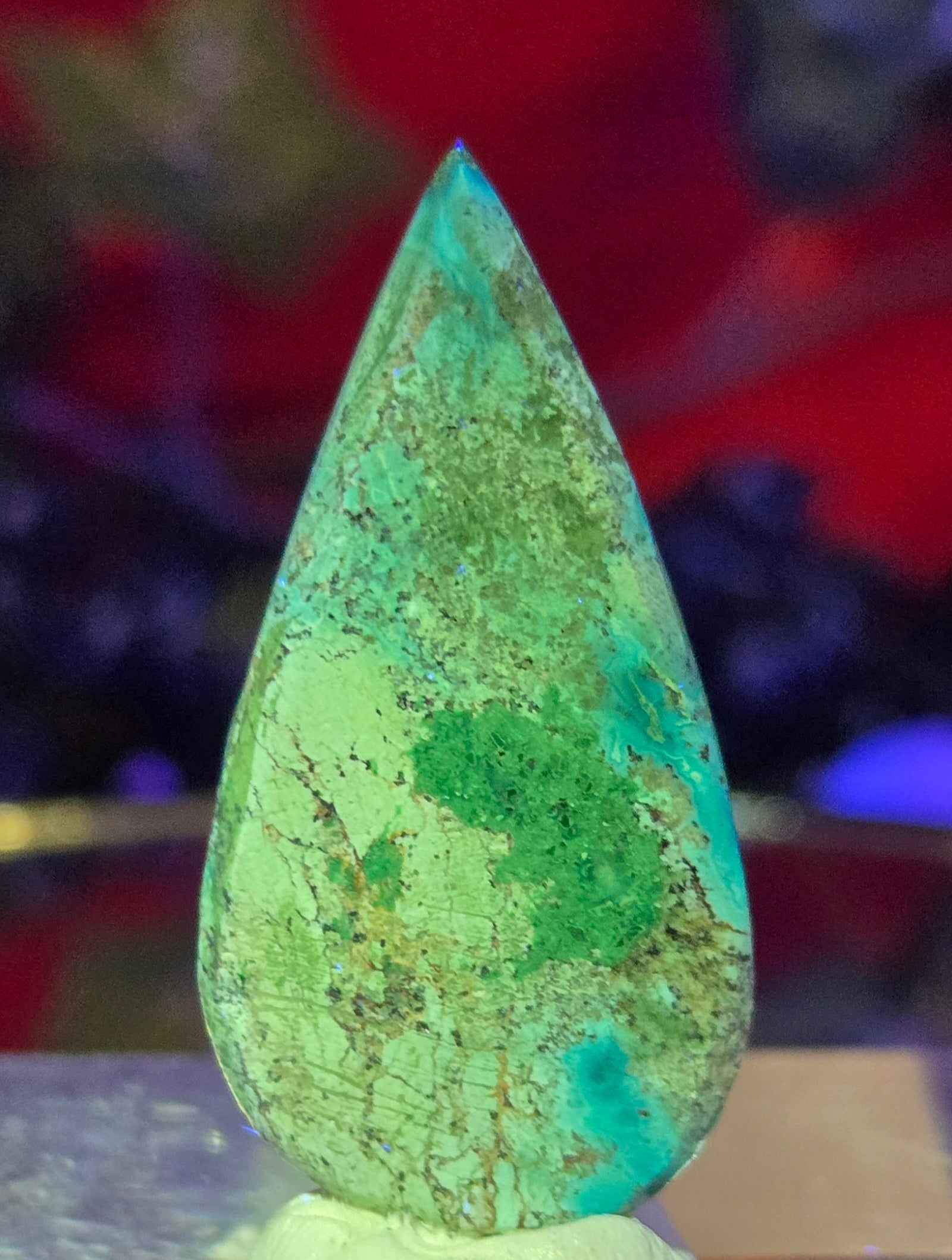 MALACHITE CHRYSACOLLA CABOCHON