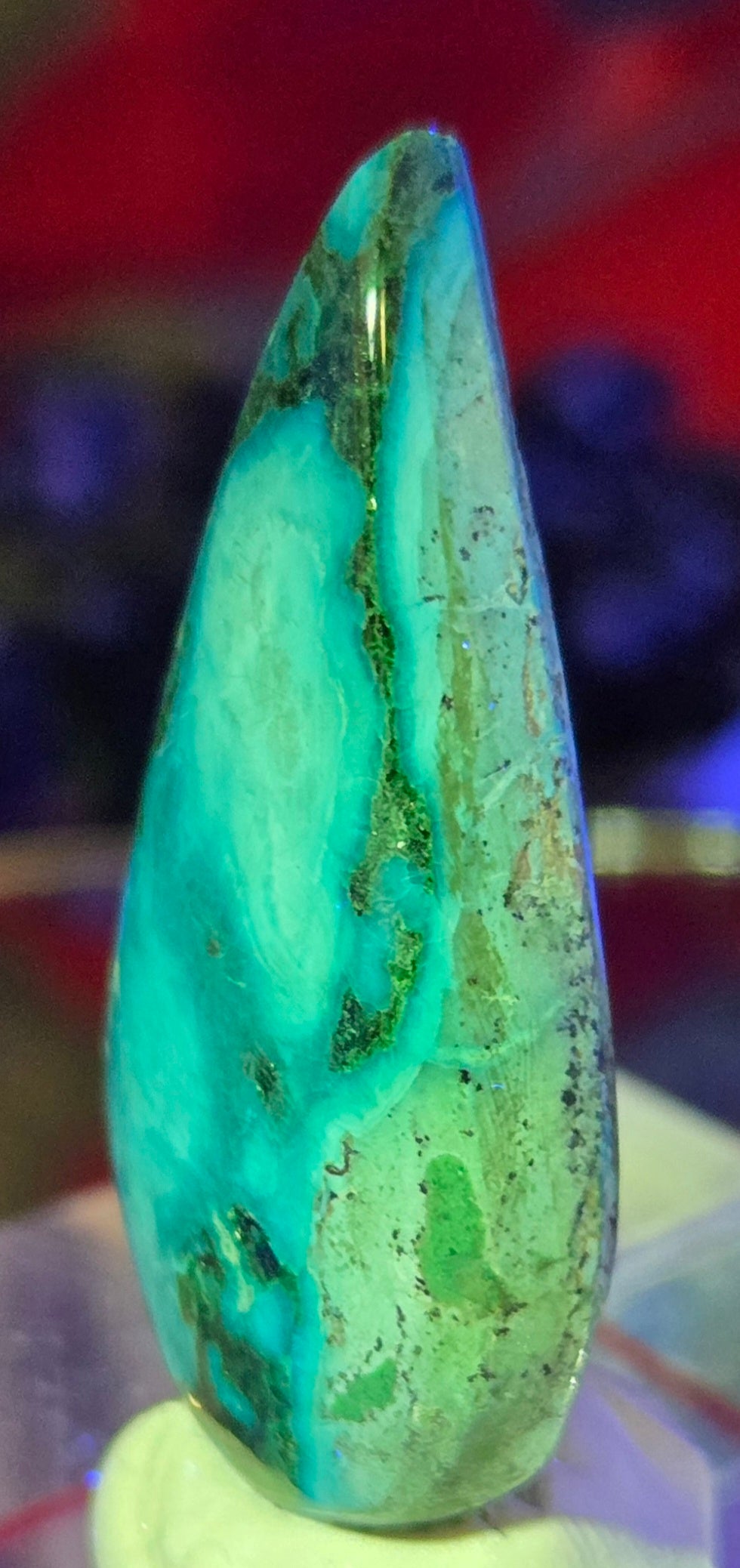 MALACHITE CHRYSACOLLA CABOCHON