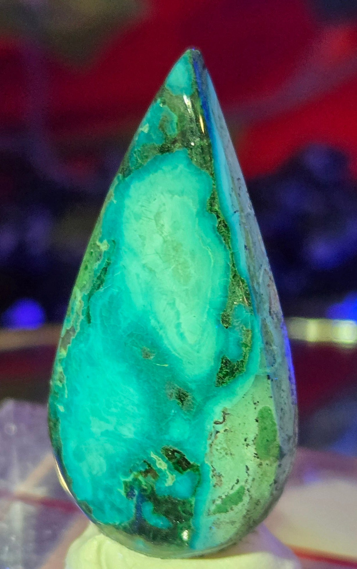 MALACHITE CHRYSACOLLA CABOCHON