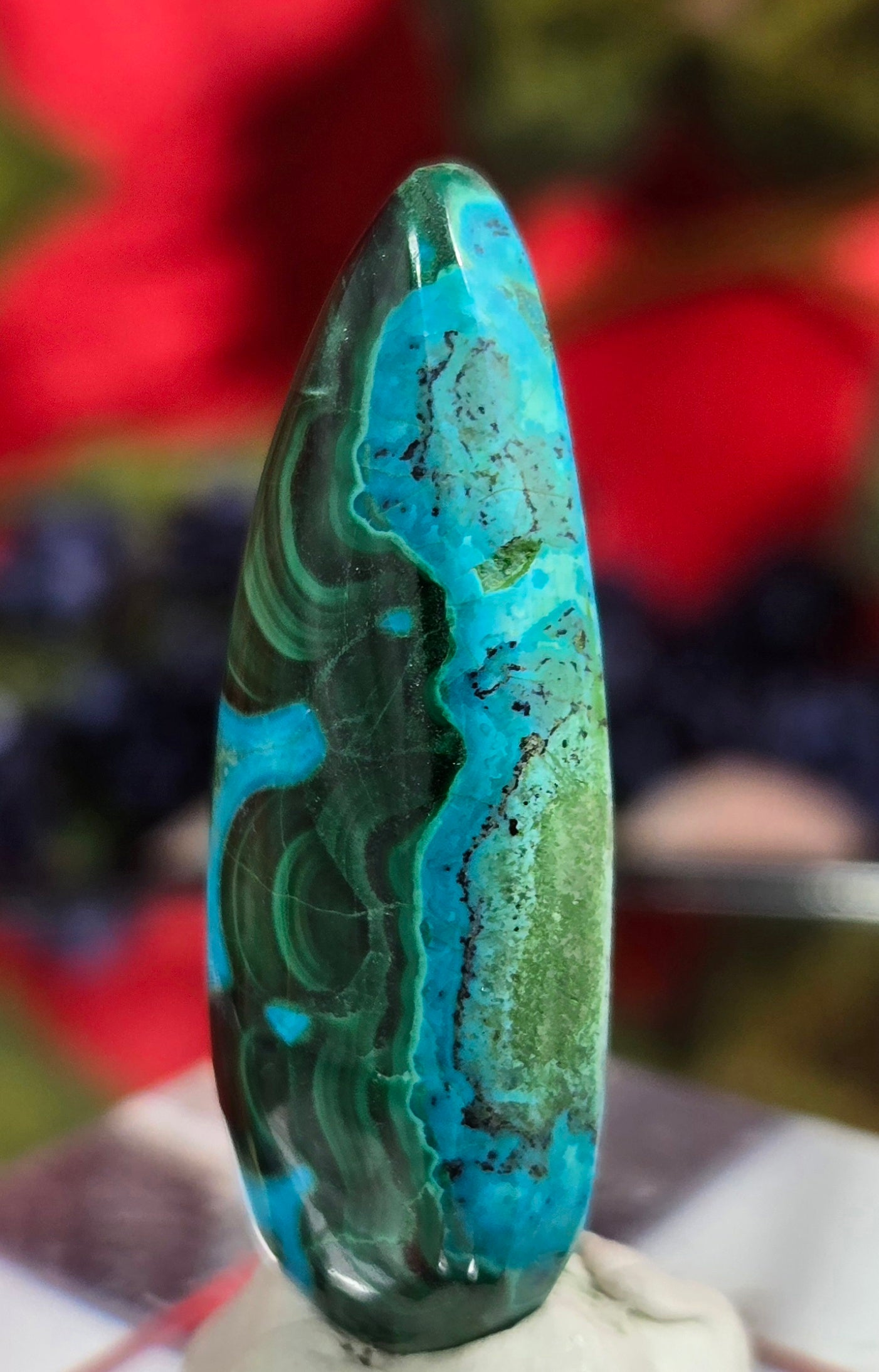 MALACHITE CHRYSACOLLA CABOCHON