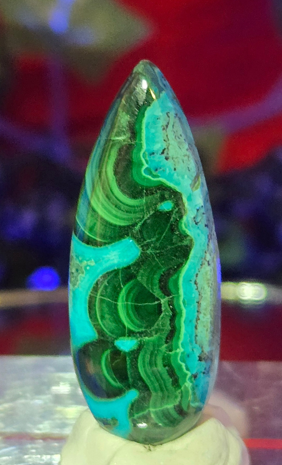 MALACHITE CHRYSACOLLA CABOCHON