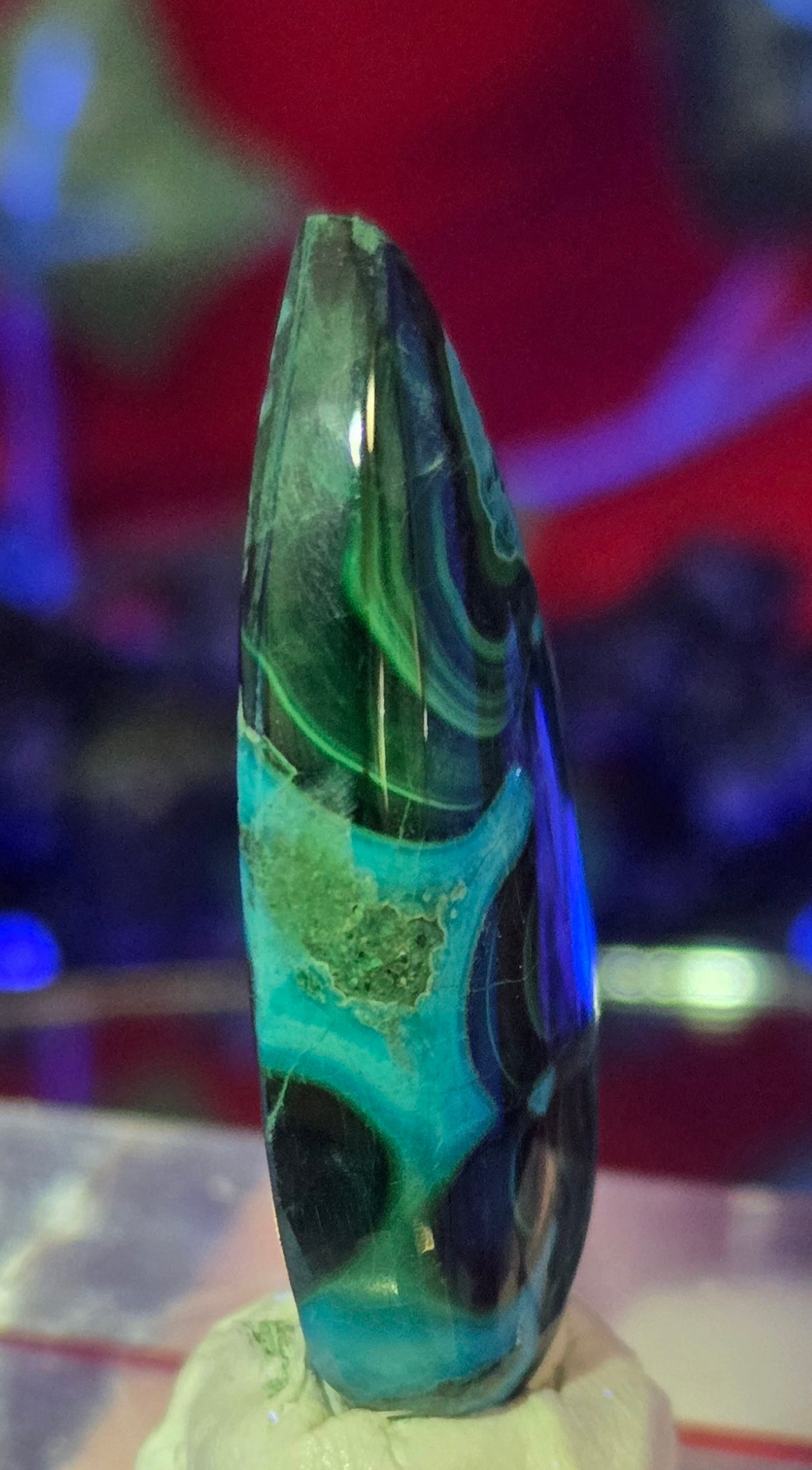 MALACHITE CHRYSACOLLA CABOCHON