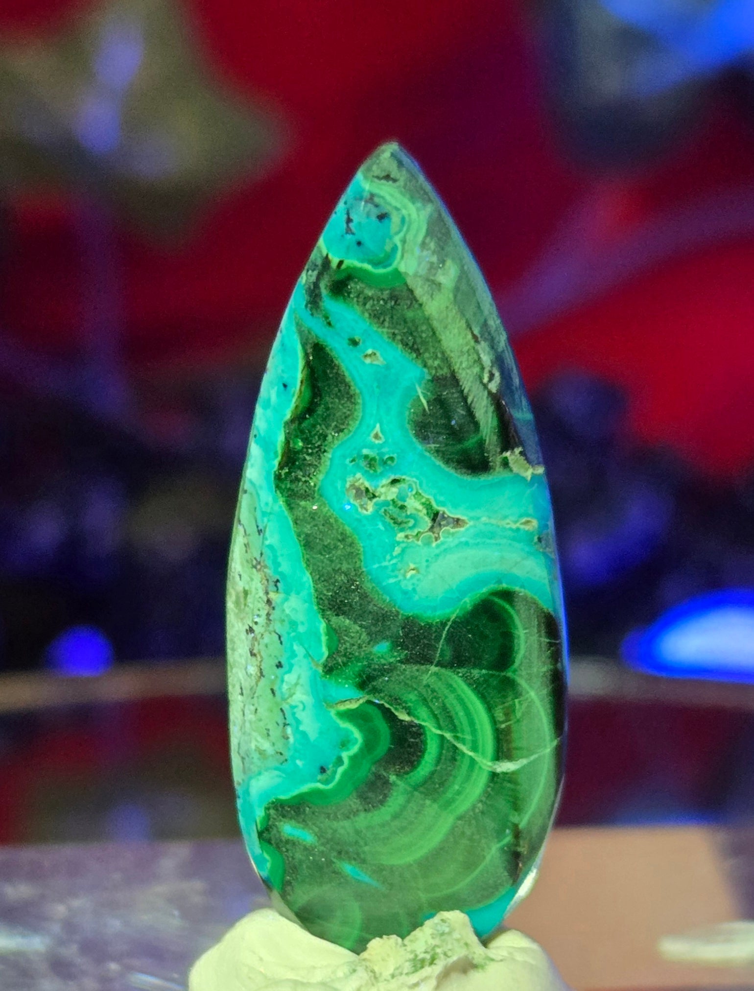 MALACHITE CHRYSACOLLA CABOCHON