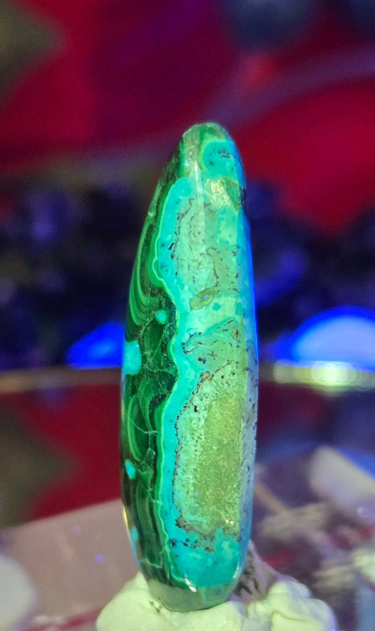 MALACHITE CHRYSACOLLA CABOCHON