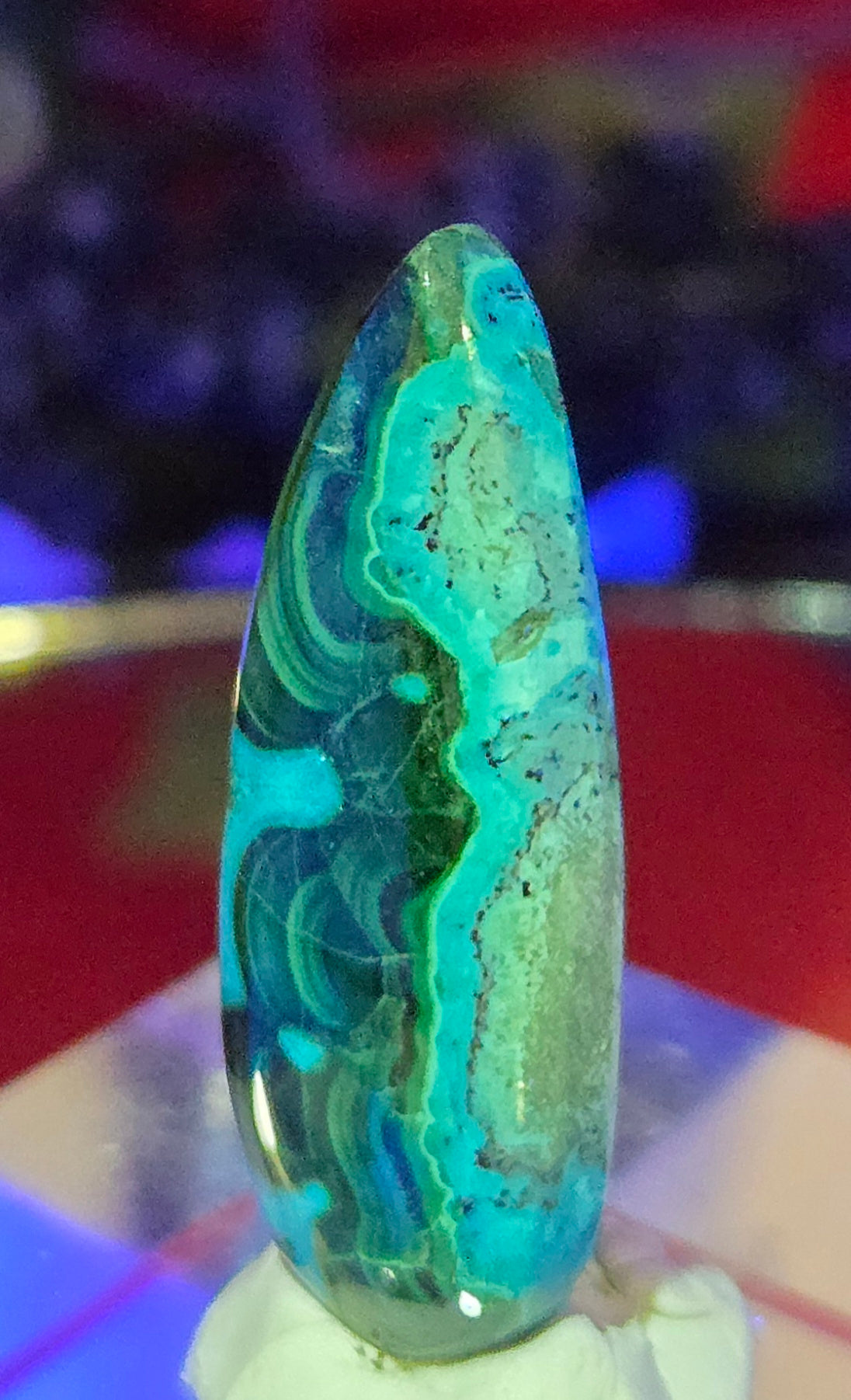 MALACHITE CHRYSACOLLA CABOCHON