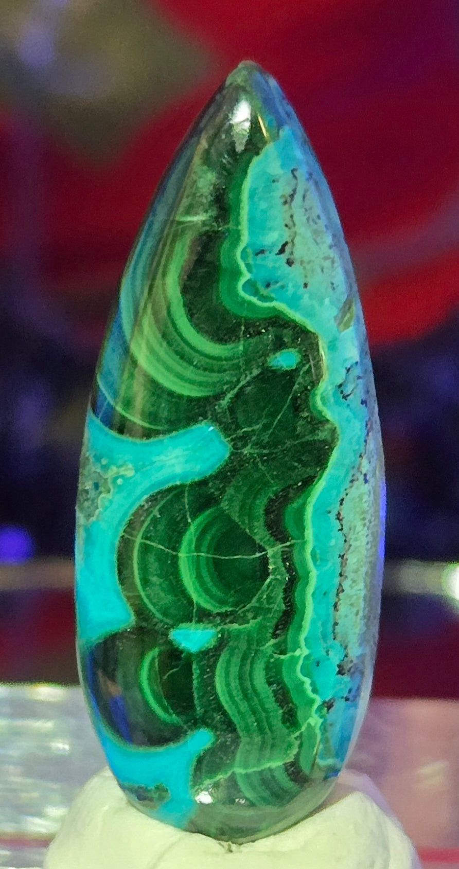 MALACHITE CHRYSACOLLA CABOCHON