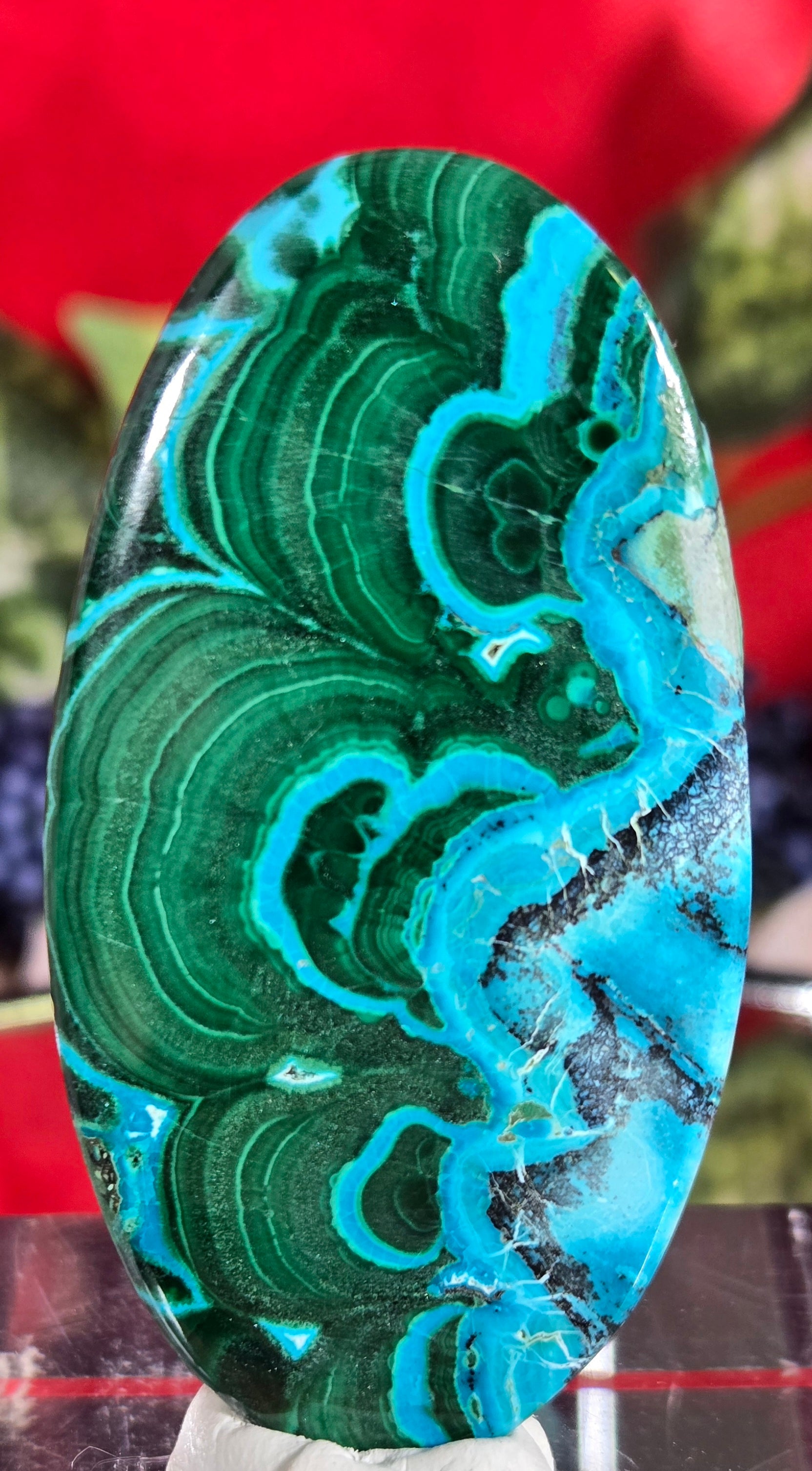 MALACHITE CHRYSACOLLA CABOCHON