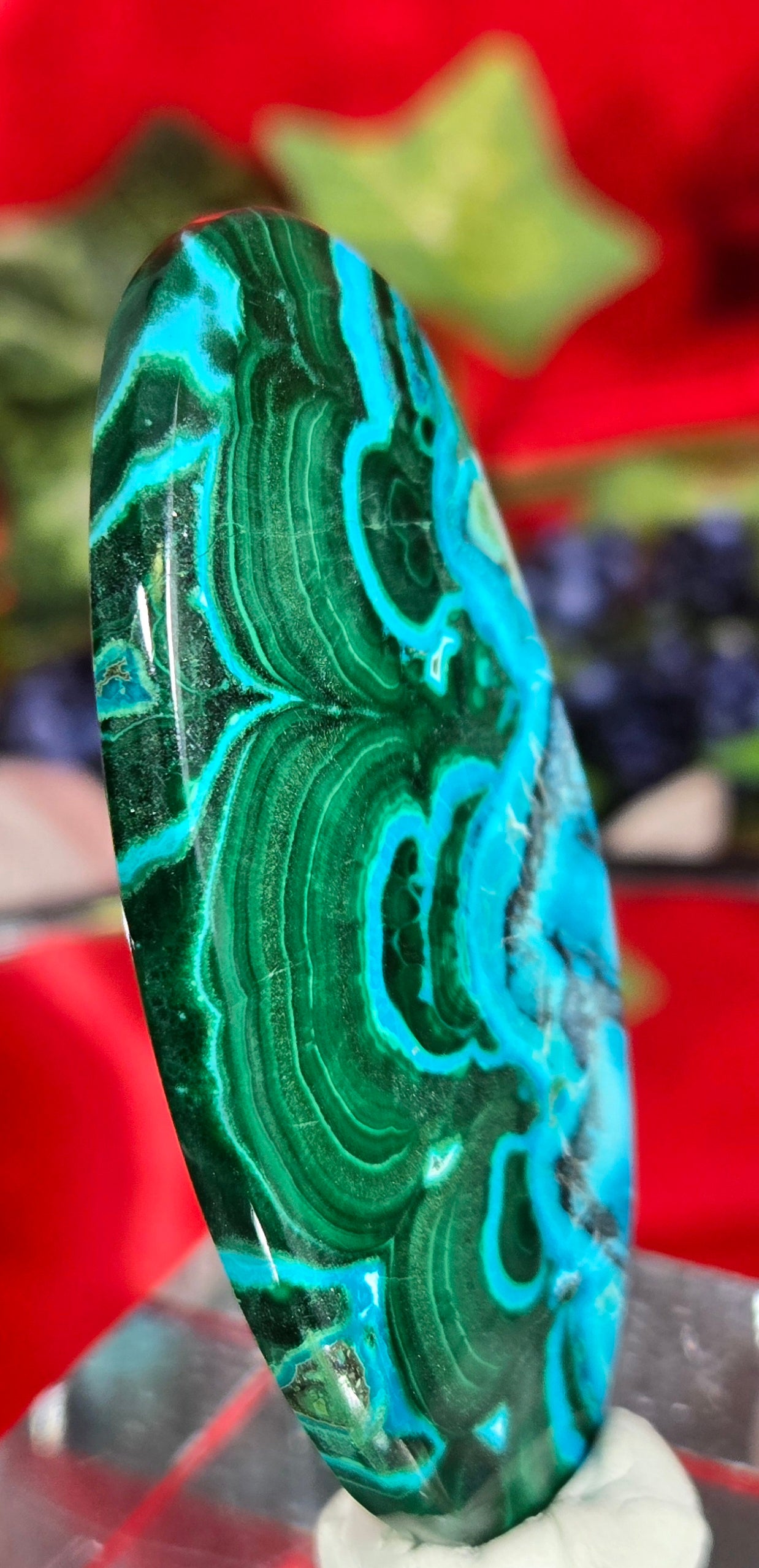MALACHITE CHRYSACOLLA CABOCHON