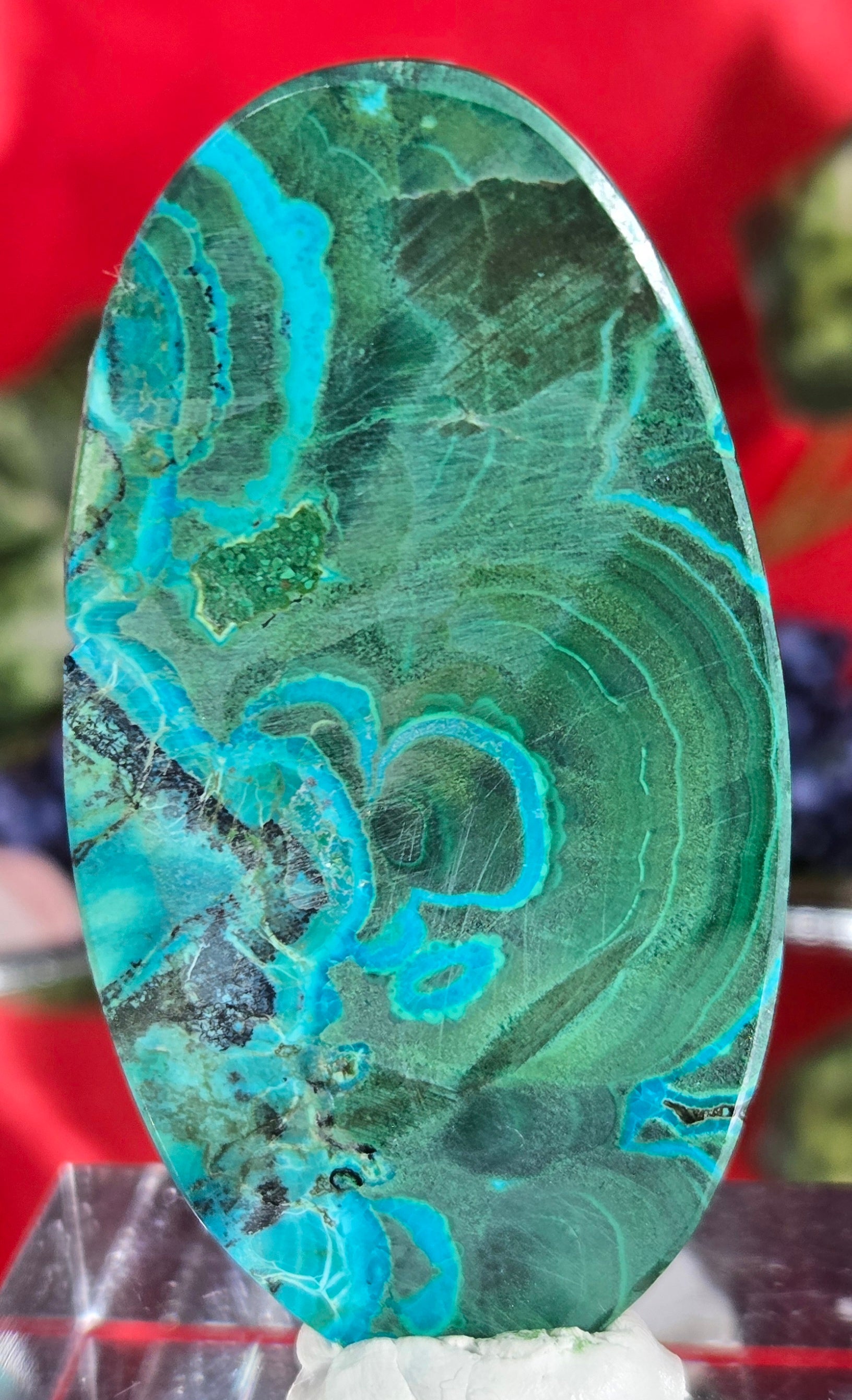 MALACHITE CHRYSACOLLA CABOCHON