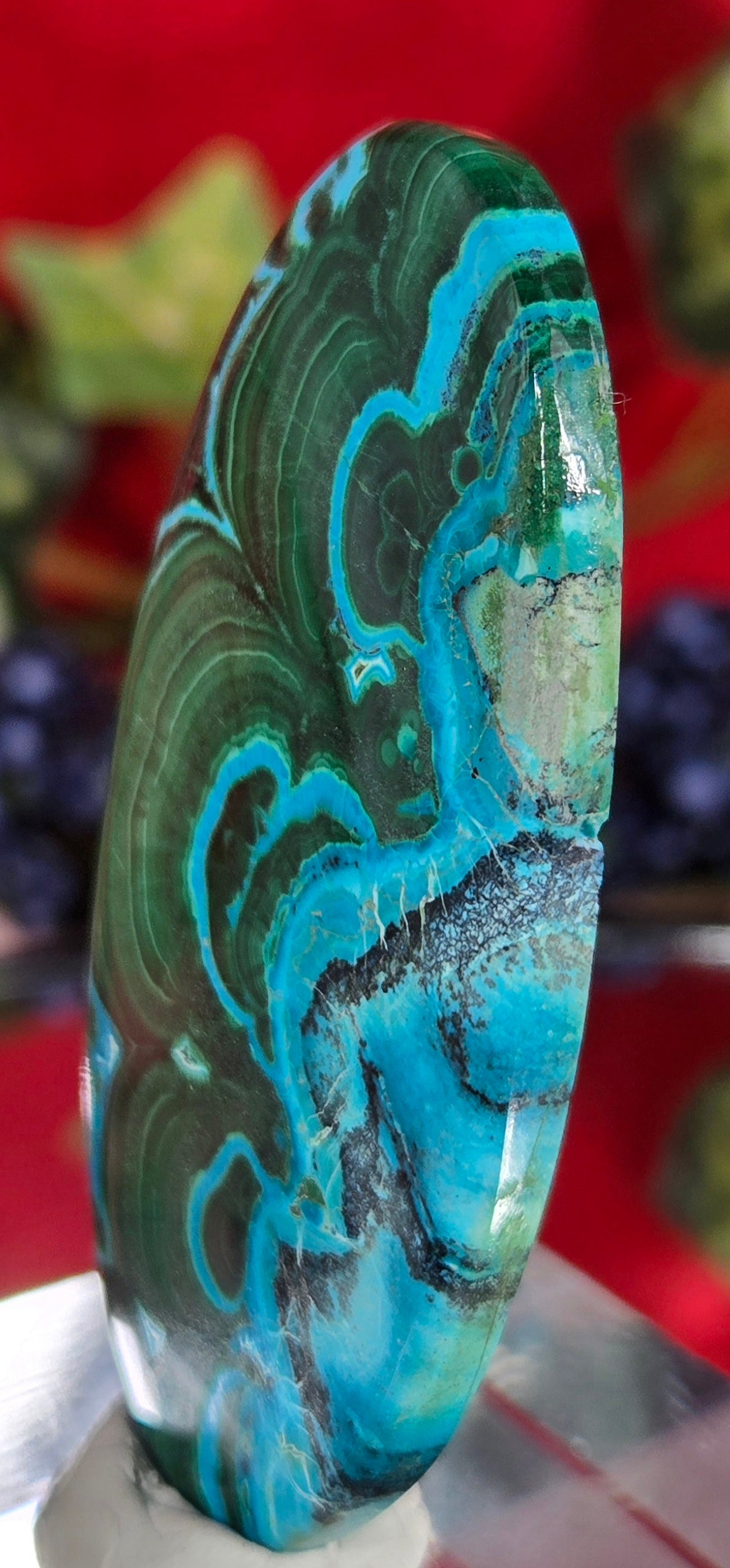MALACHITE CHRYSACOLLA CABOCHON