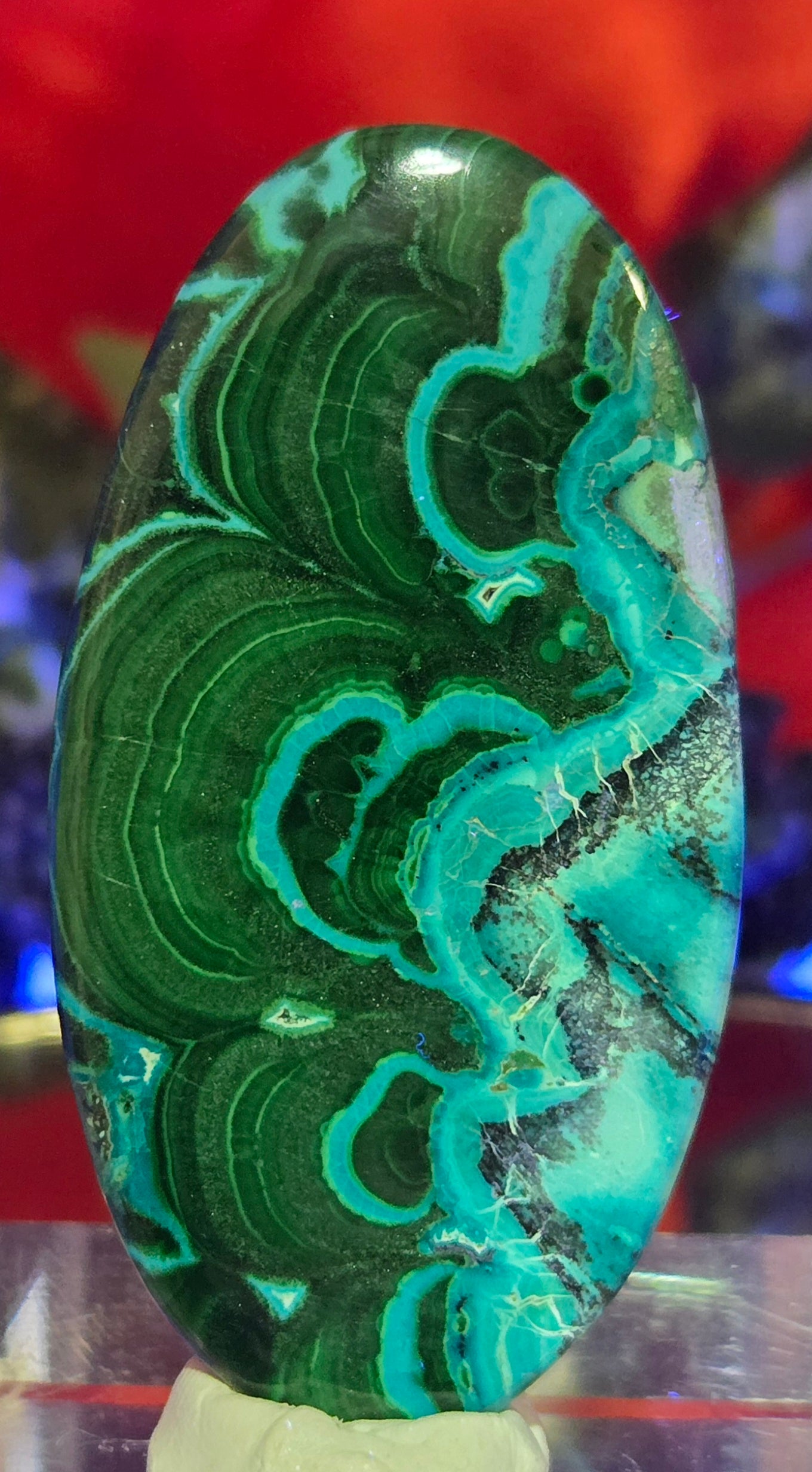 MALACHITE CHRYSACOLLA CABOCHON