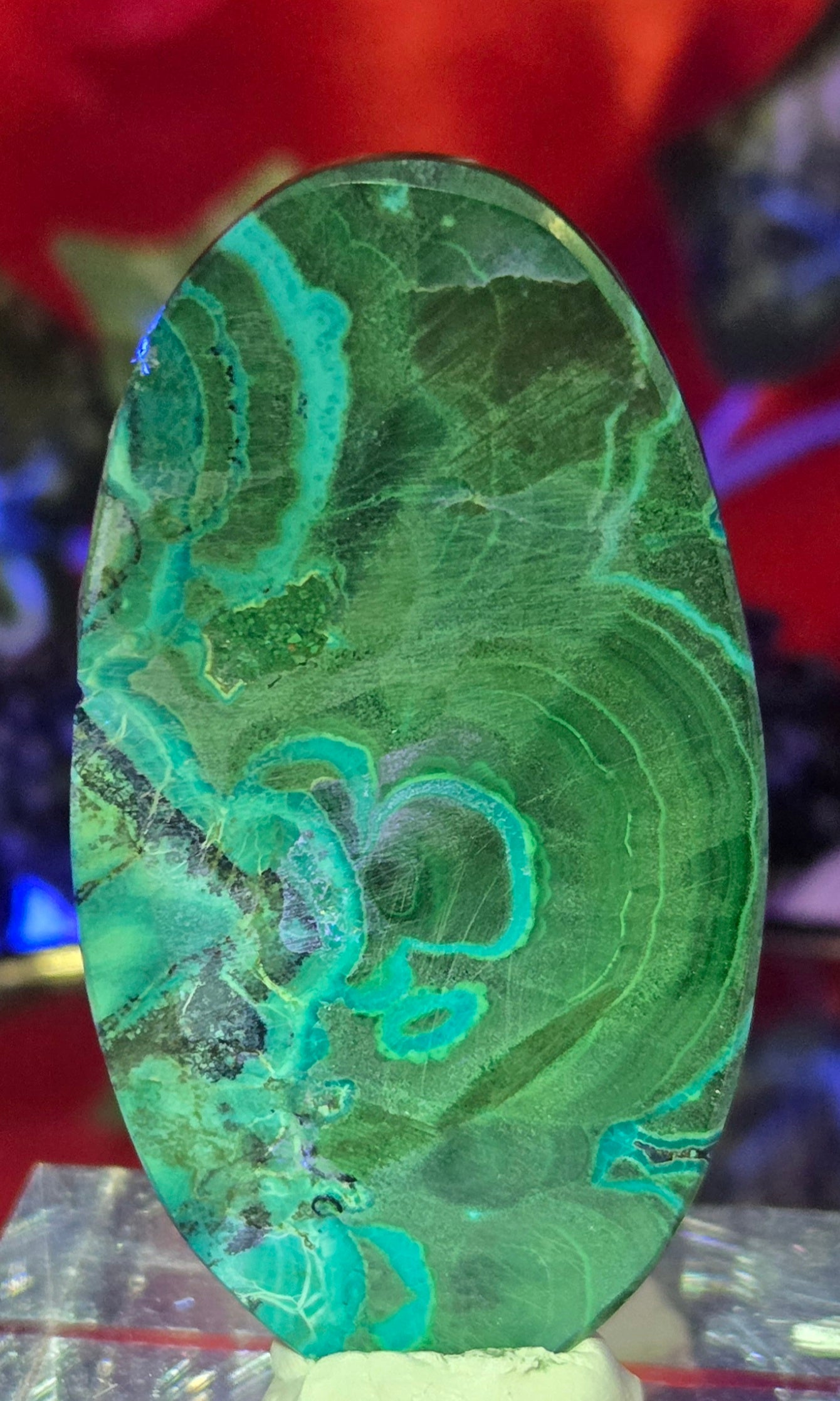 MALACHITE CHRYSACOLLA CABOCHON