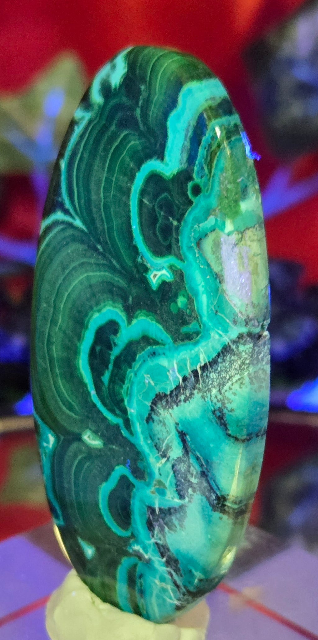 MALACHITE CHRYSACOLLA CABOCHON