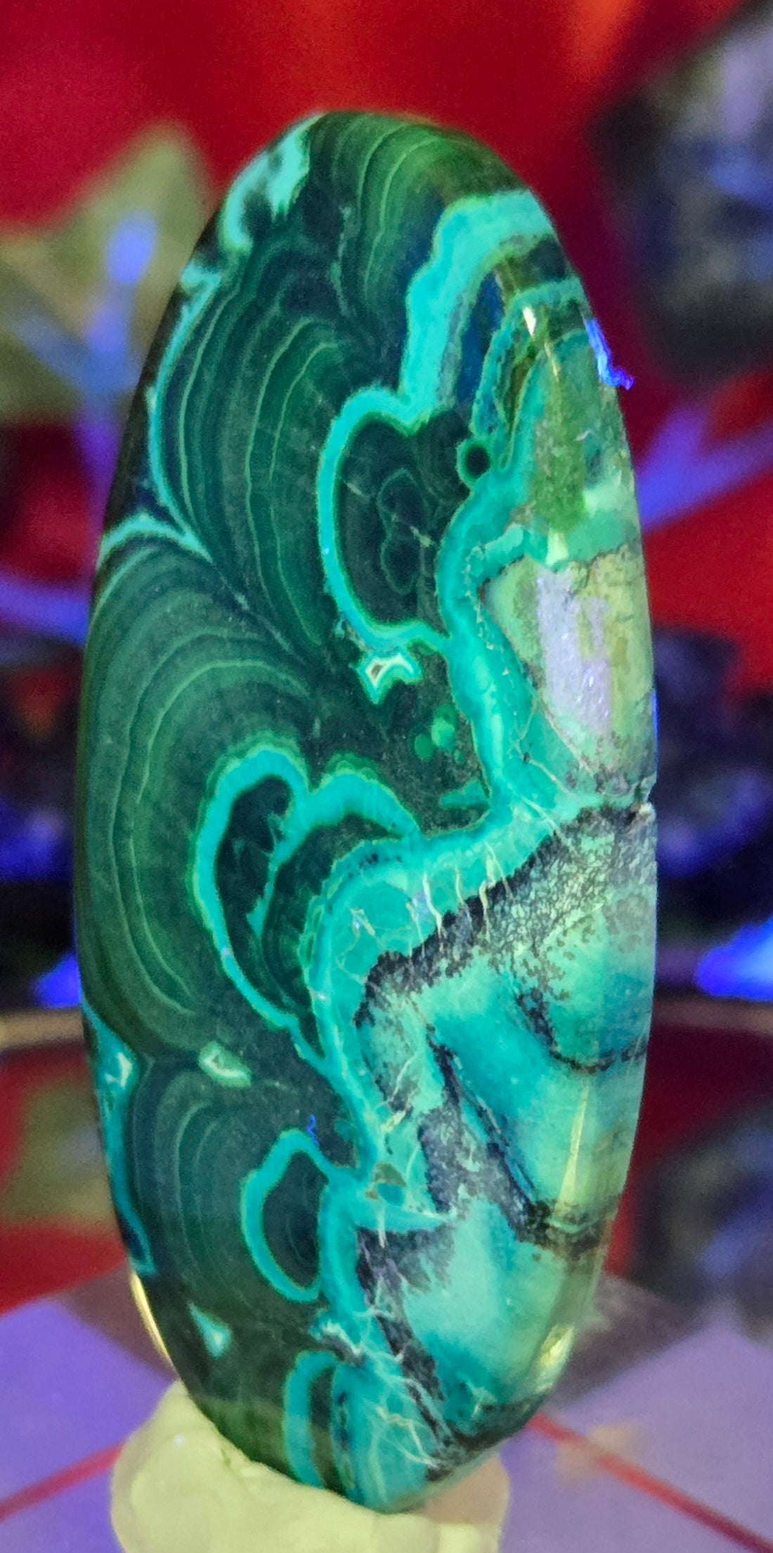 MALACHITE CHRYSACOLLA CABOCHON
