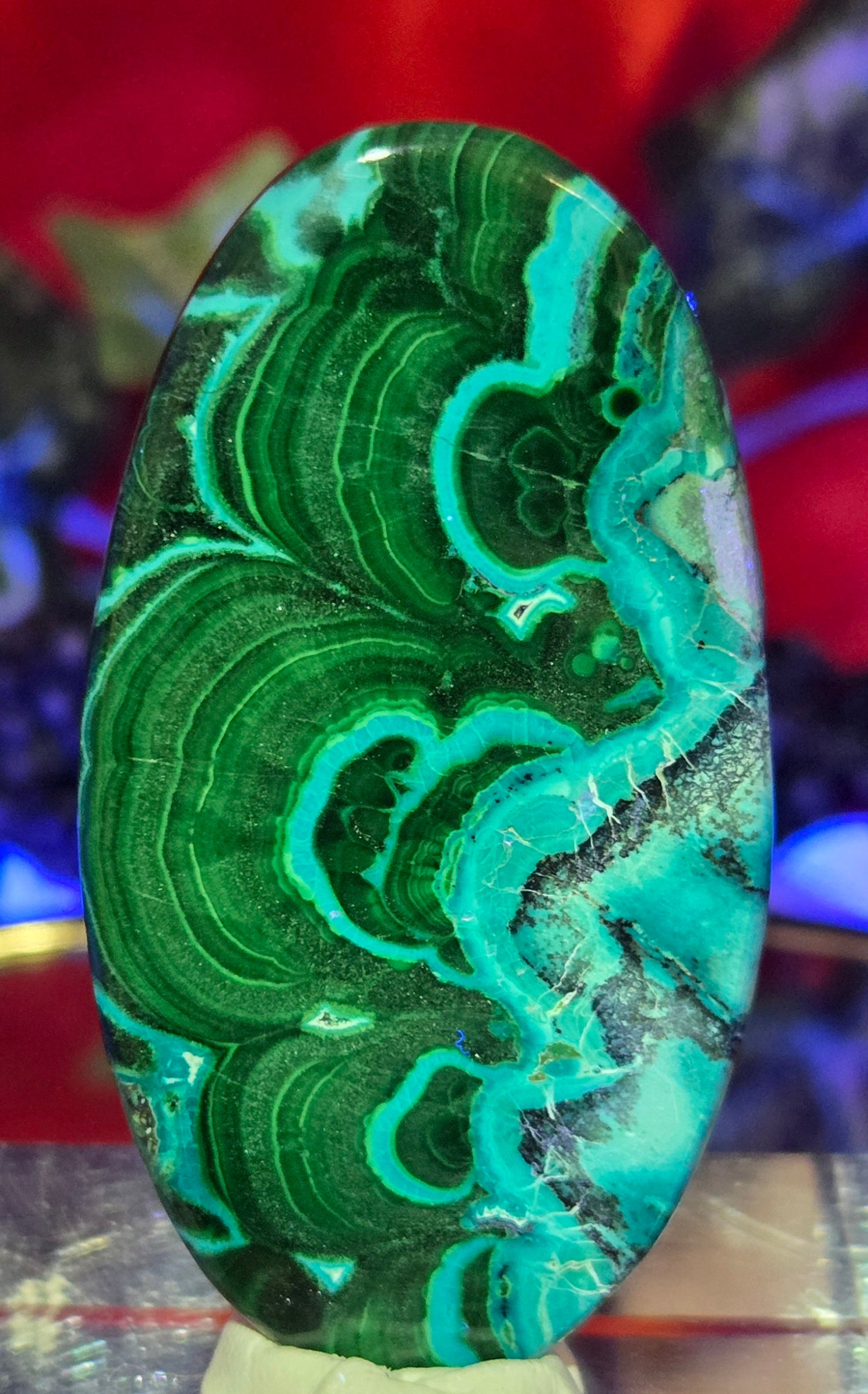 MALACHITE CHRYSACOLLA CABOCHON