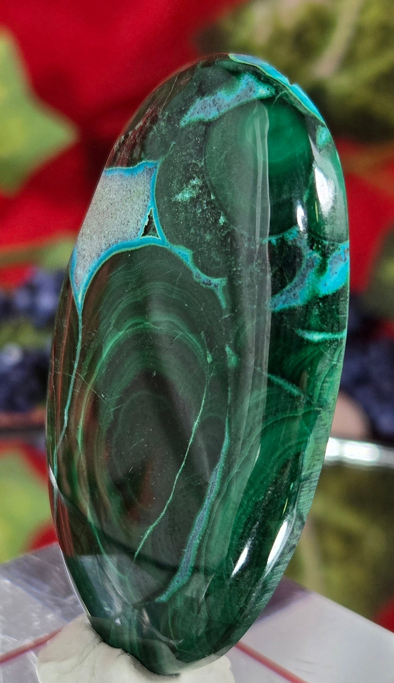 MALACHITE CHRYSACOLLA CABOCHON