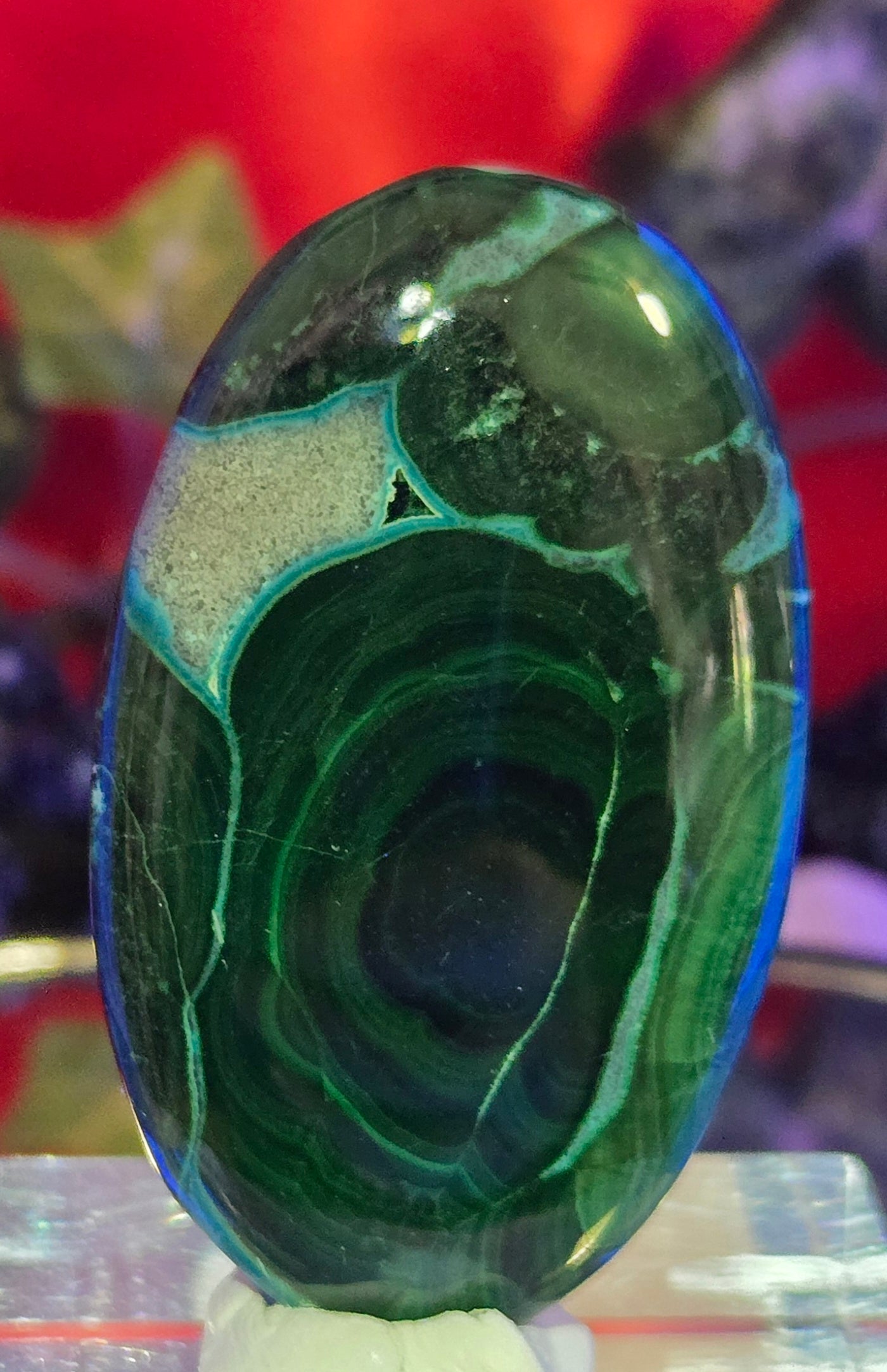 MALACHITE CHRYSACOLLA CABOCHON